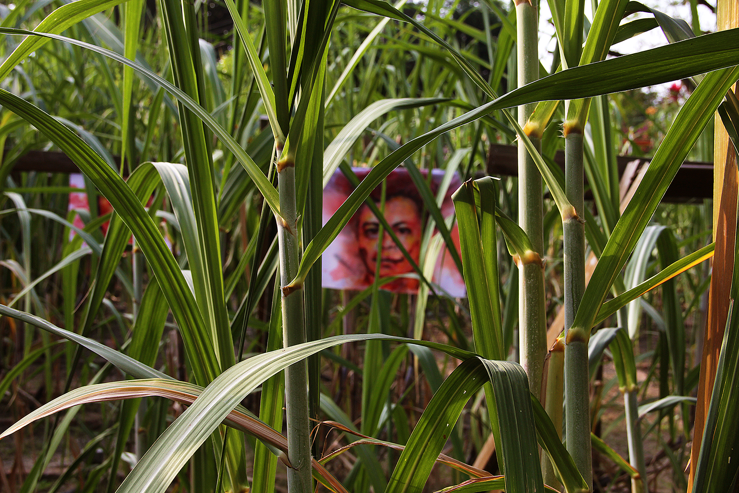 Empalagoso (Saccharine): The Chichigalpa Portrait Project, 23 Memorial Portraits at Taiwan Sugar Museum. Photo courtesy of artist. 