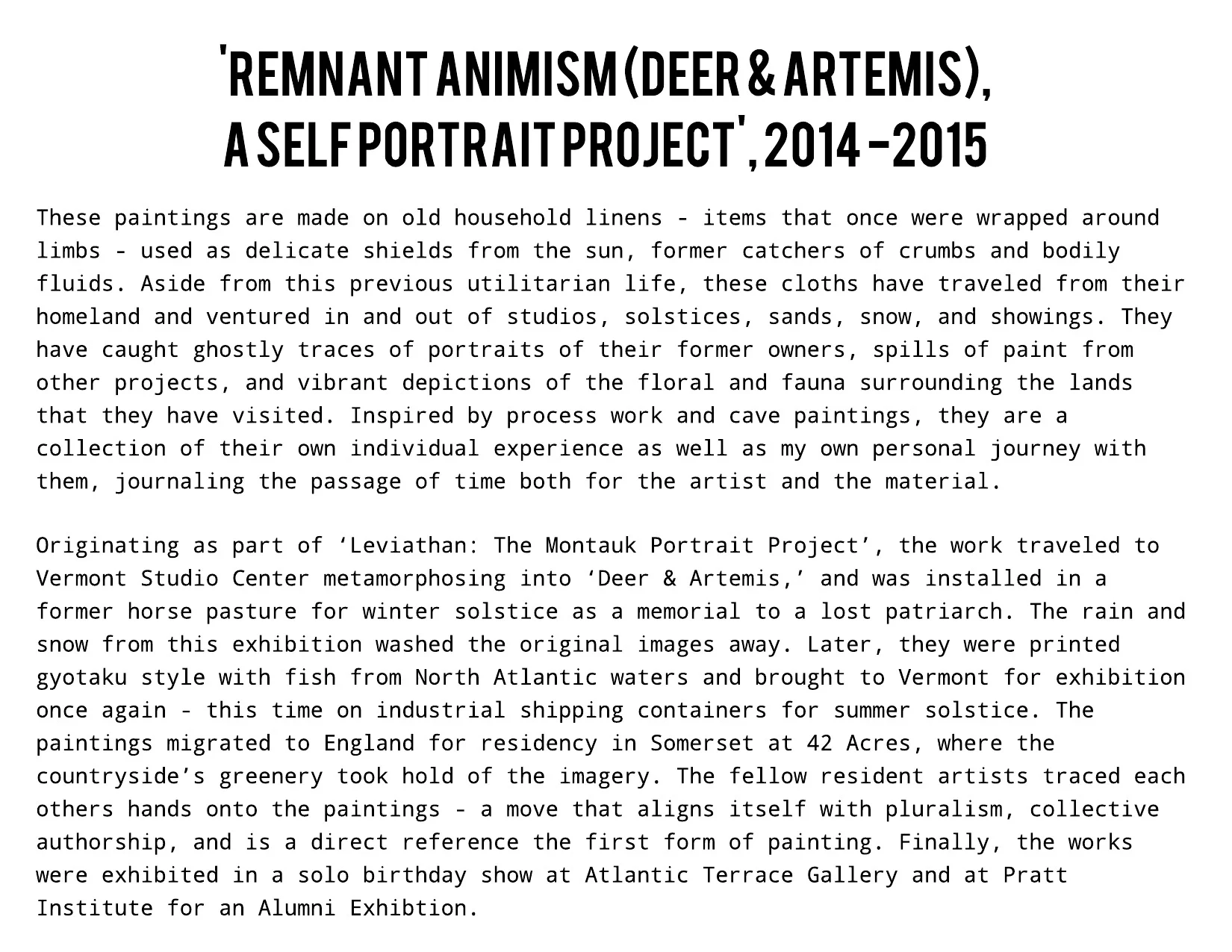 Remnant Animism (2).jpeg