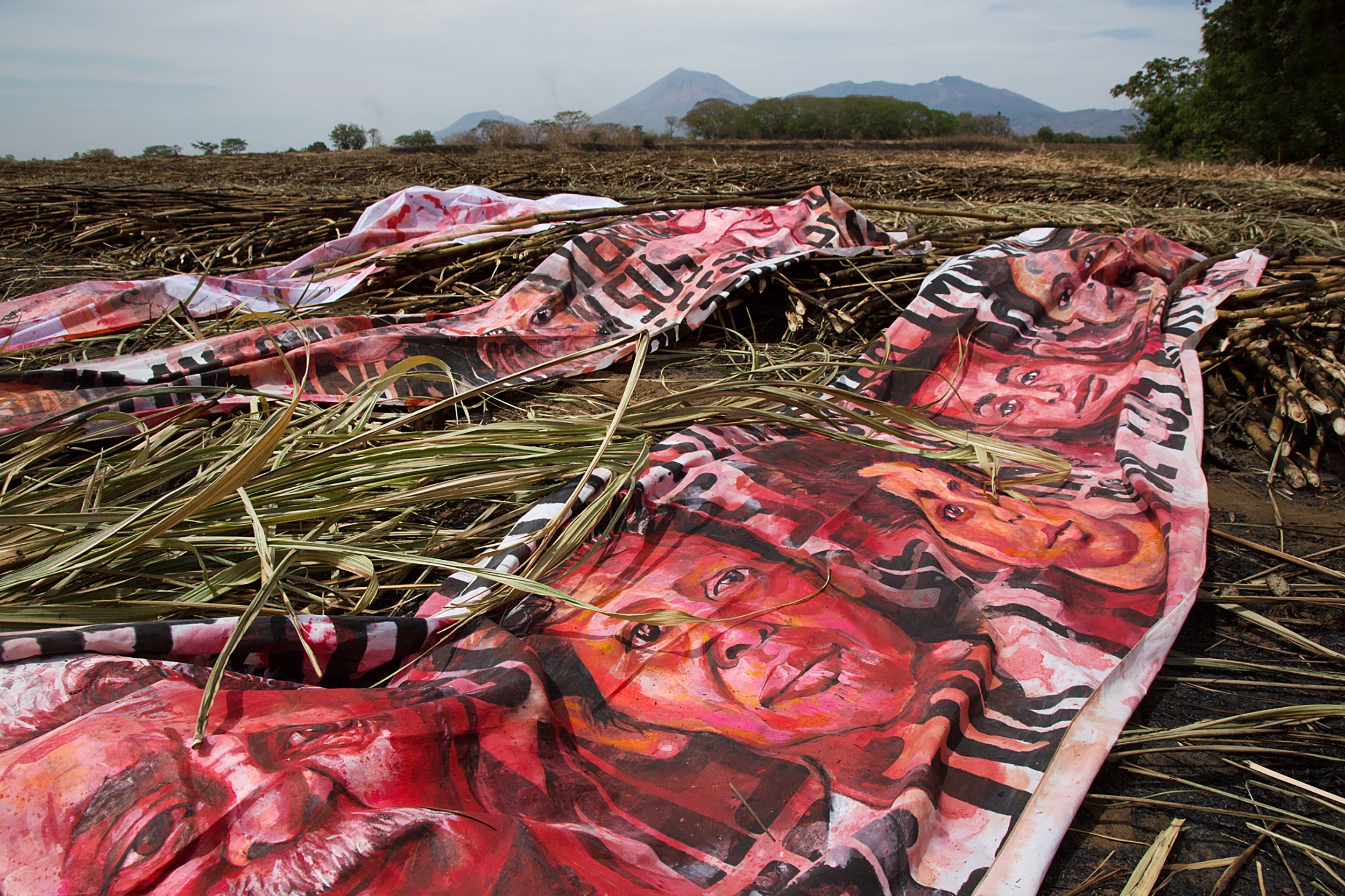 Empalagoso (Saccharine): The Chichigalpa Portrait Project, The Burnt Cane Installation. Photo courtesy of Tom Laffay. 