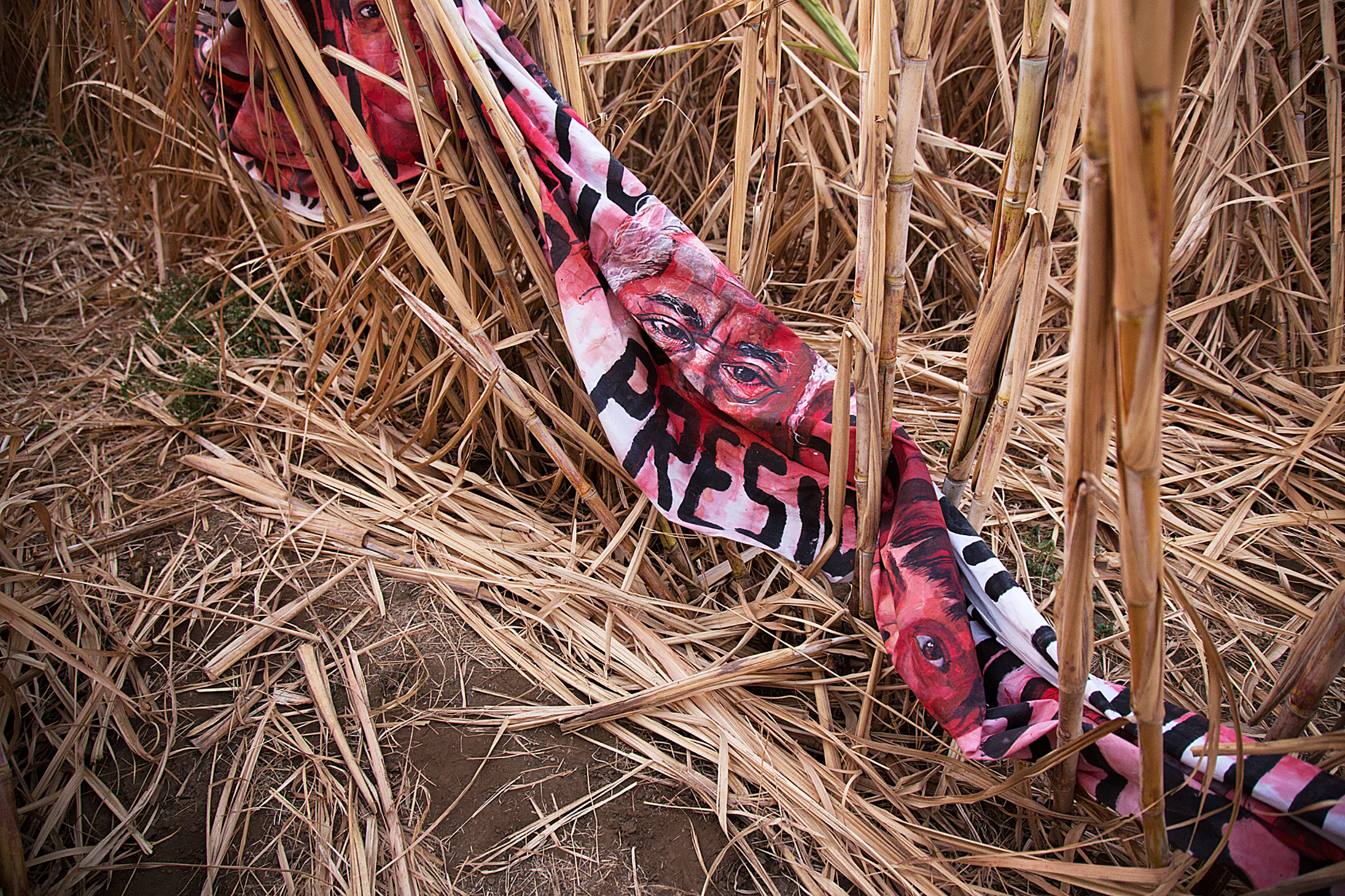 Empalagoso (Saccharine): The Chichigalpa Portrait Project, The Chemically Dried Cane Installation. Photo courtesy of Tom Laffay.