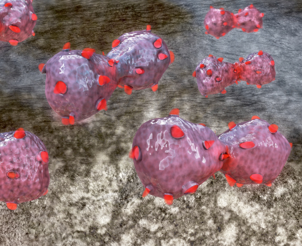 A 3D rendered illustration of lung cancer cells (Thinkstock)
