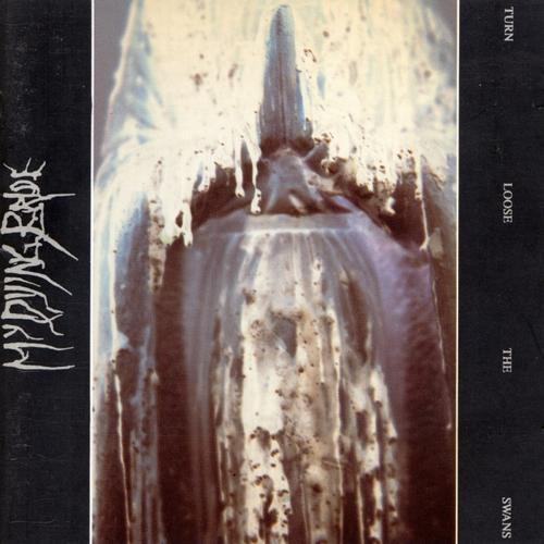 Vol 1, Track 9: "Turn Loose the Swans" by My Dying Bride episode artwork
