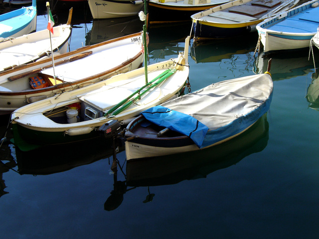 Sponsorship Level II