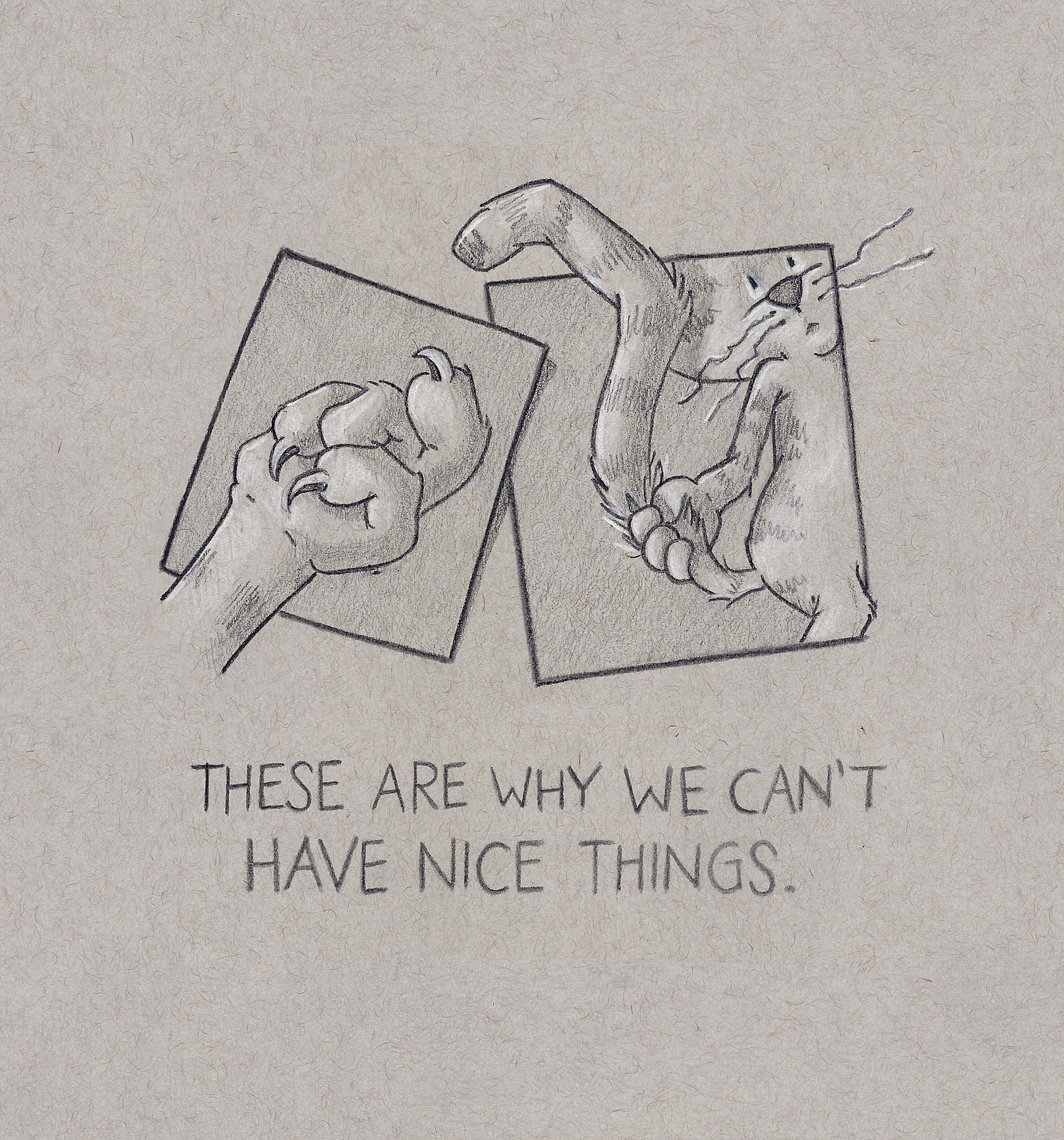 niceTHINGS_cropped.jpg