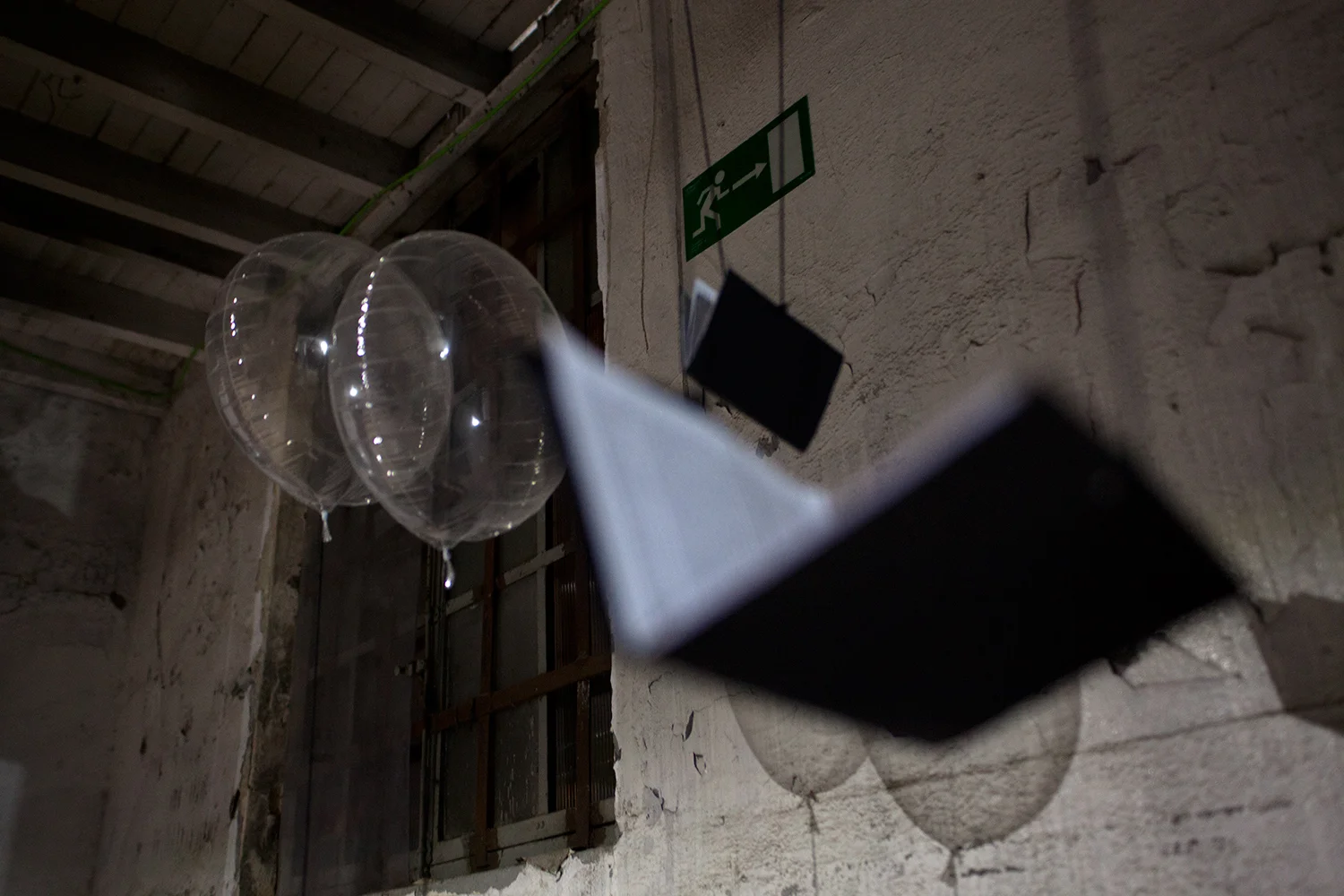 image-carlos mate-the-groundhog-day-4.jpg alt=image carlos mate art installlation and performance the groundhog day