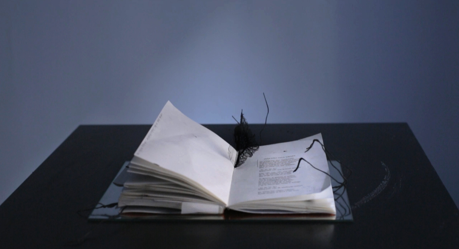 Ashes to ashes video stills