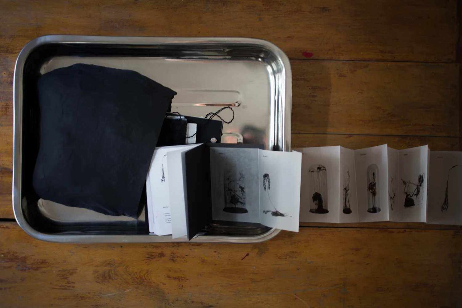 image-carlos mate-artist book-3.jpg alt=carlos mate artist book