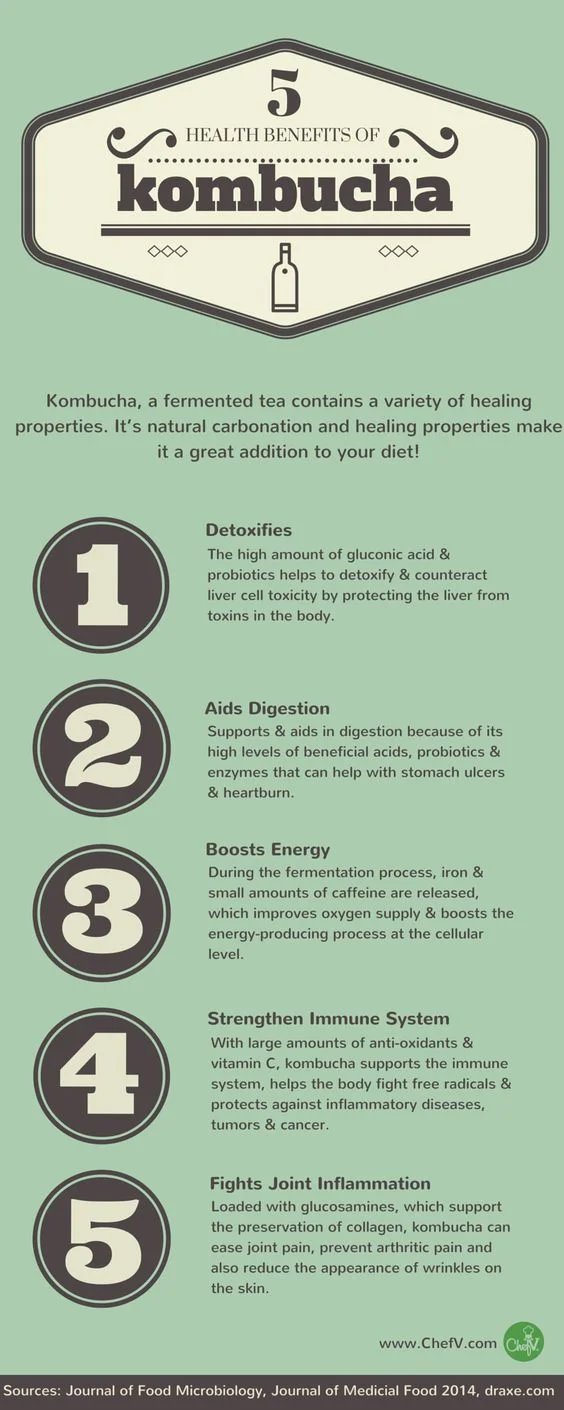 Kombucha infographic // pinterest
