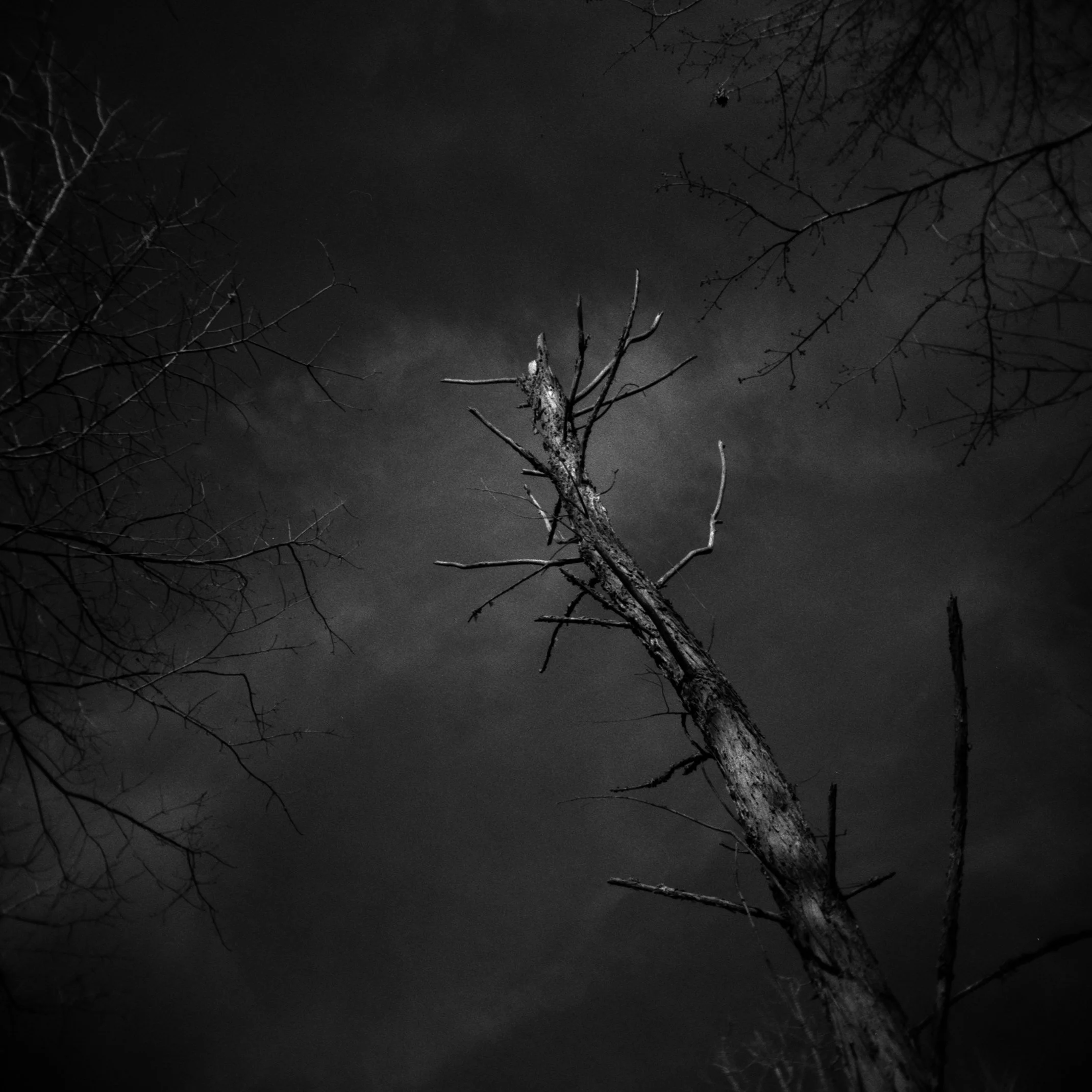  McAlpine Creek Greenway in Charlotte, North Carolina 