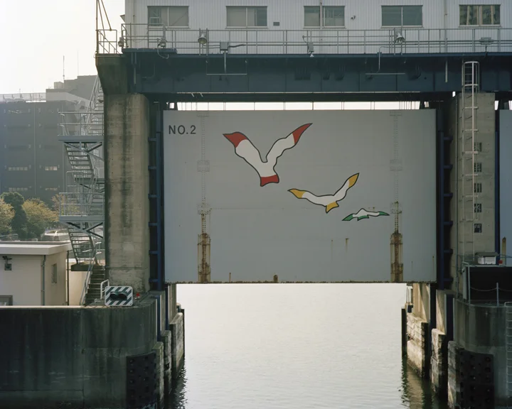 goma 8.jpg