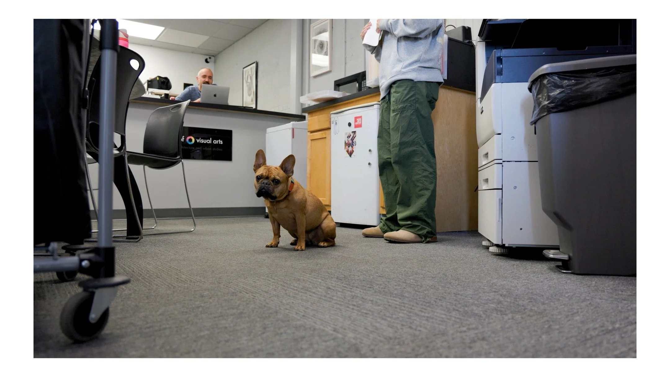 Just a little something to brighten your Wednesday ☀️ 🐶