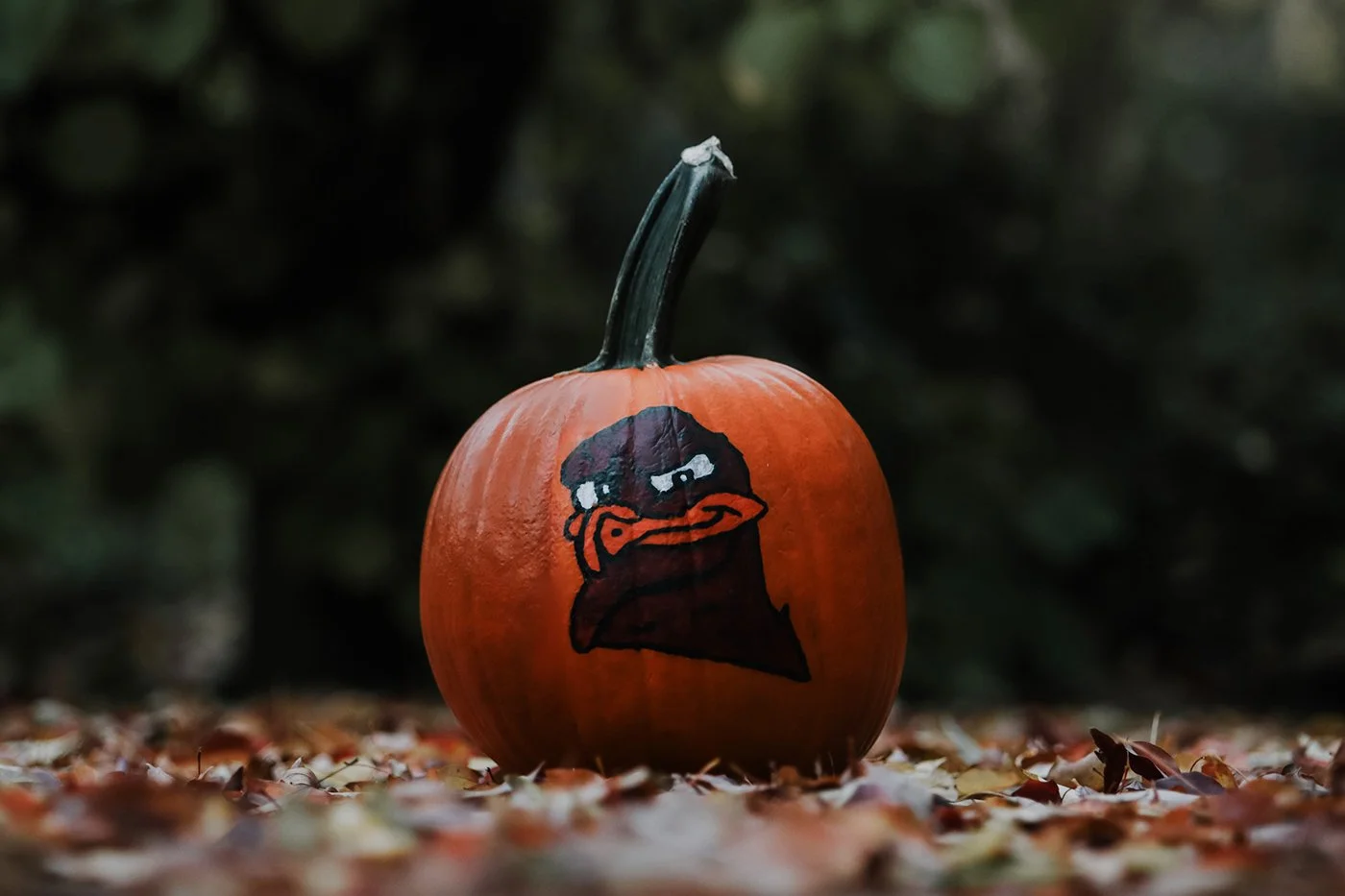 Spooky season, but make it art. First-year @vt.sova graphic design student Zach Flores didn&rsquo;t just photograph these pumpkins, he painted them, too! From bold brushstrokes to perfectly eerie lighting, Zach turned his love for design into a full 