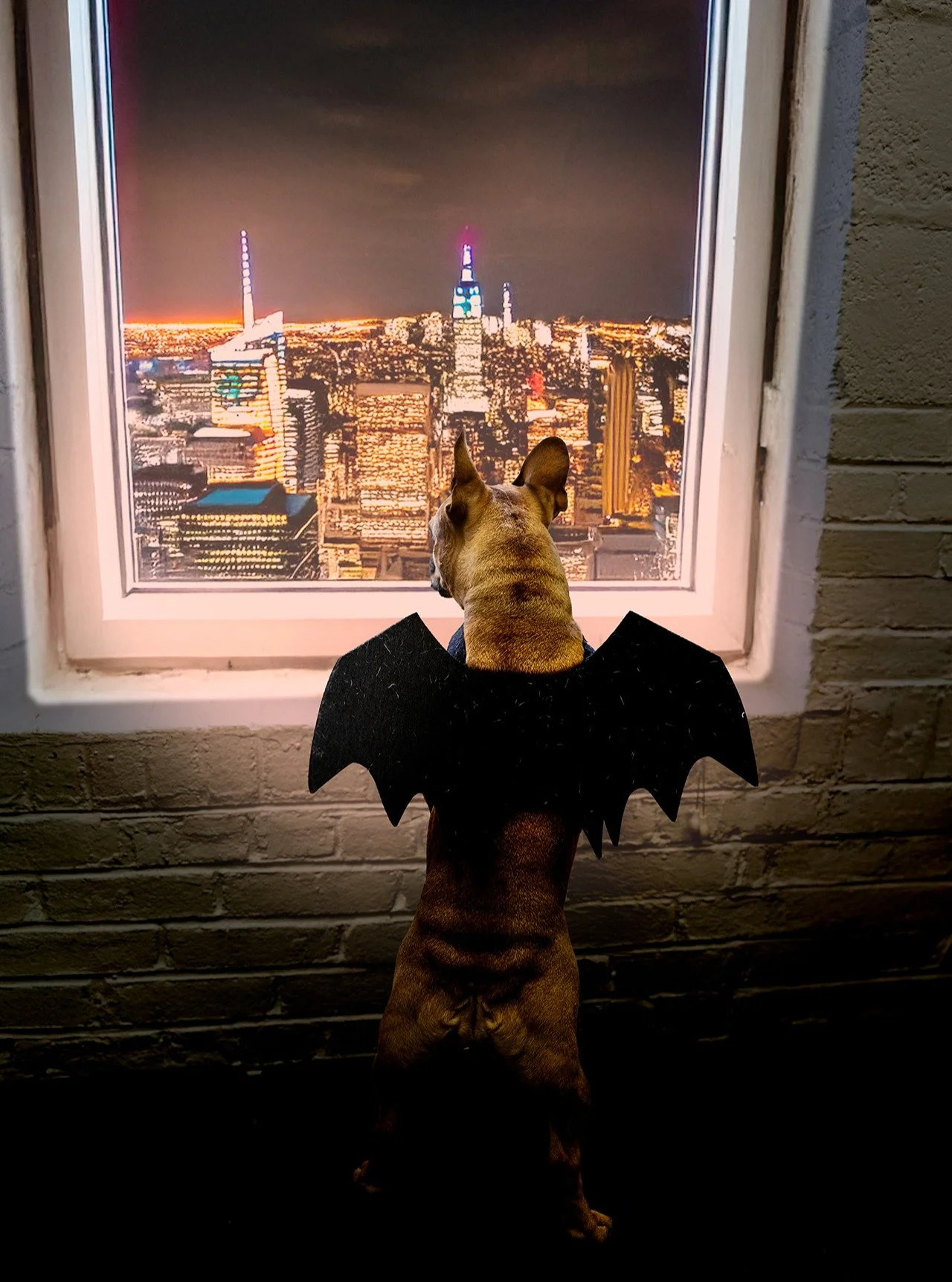 Halloween magic = pure creativity. From spooky to silly, every costume told a story and we loved them all. Can&rsquo;t wait to see what you dream up next year! 🎃💡