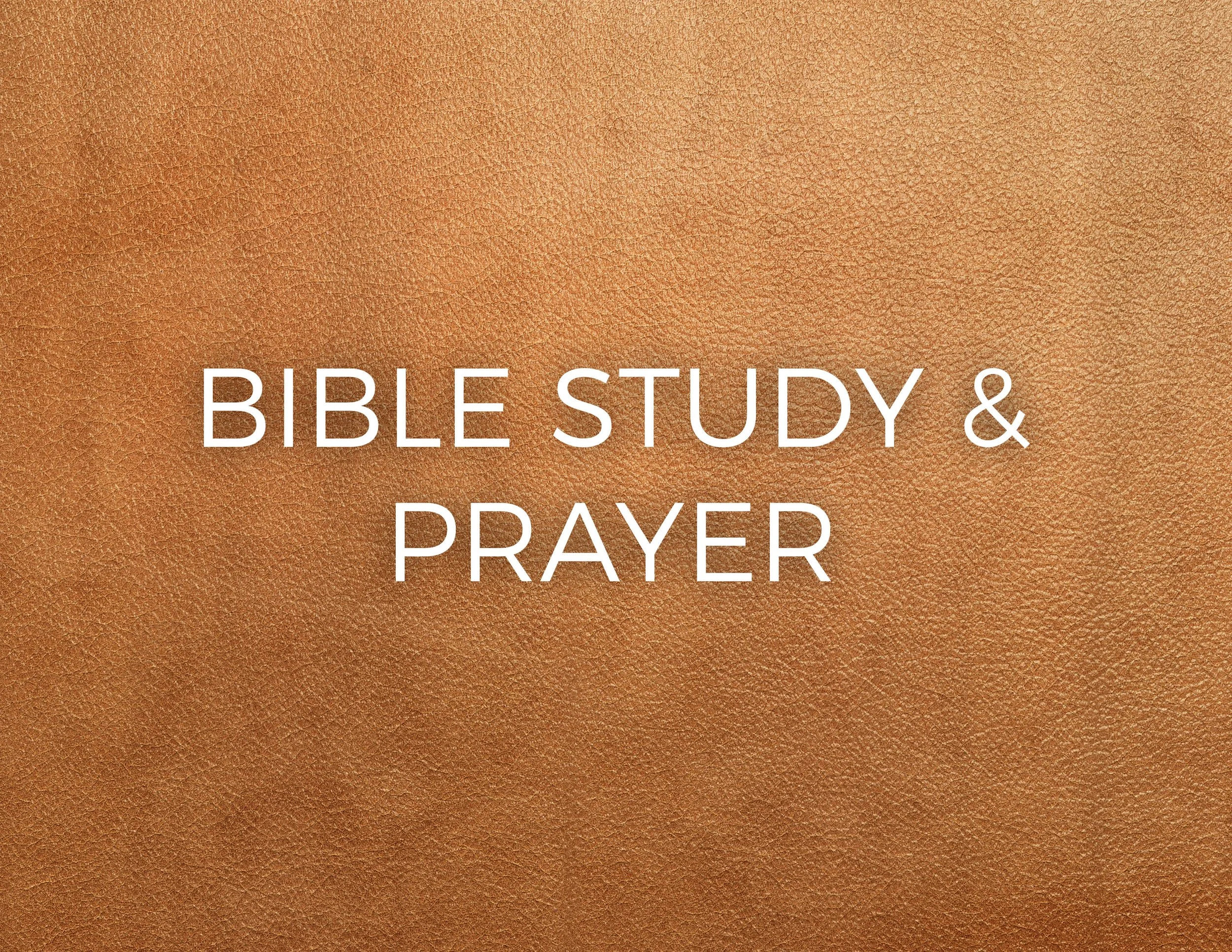 Bible Study and Prayer.jpg