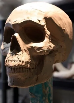 Skull Sculpture 
