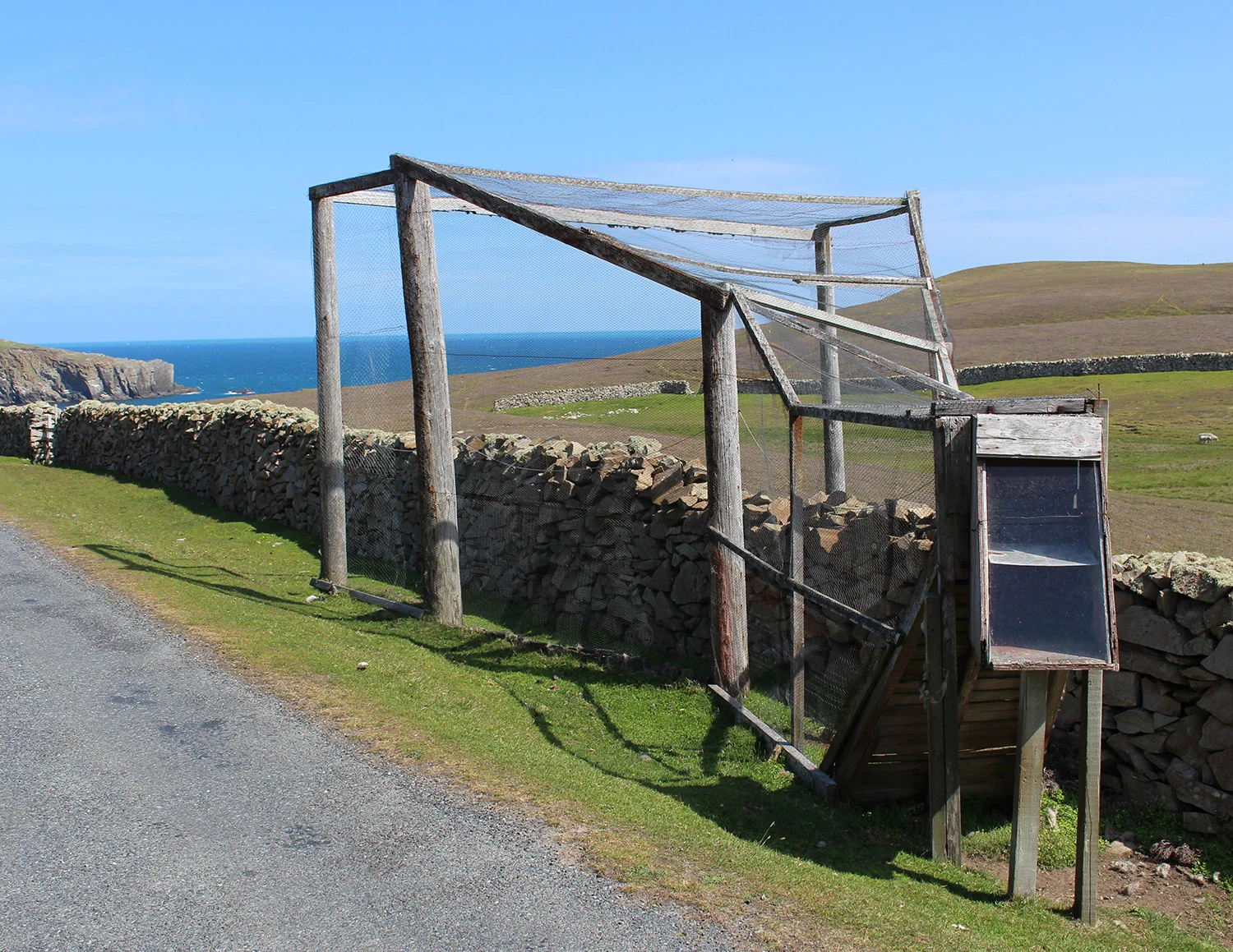 One of the Heligoland traps used by the Bird Obs