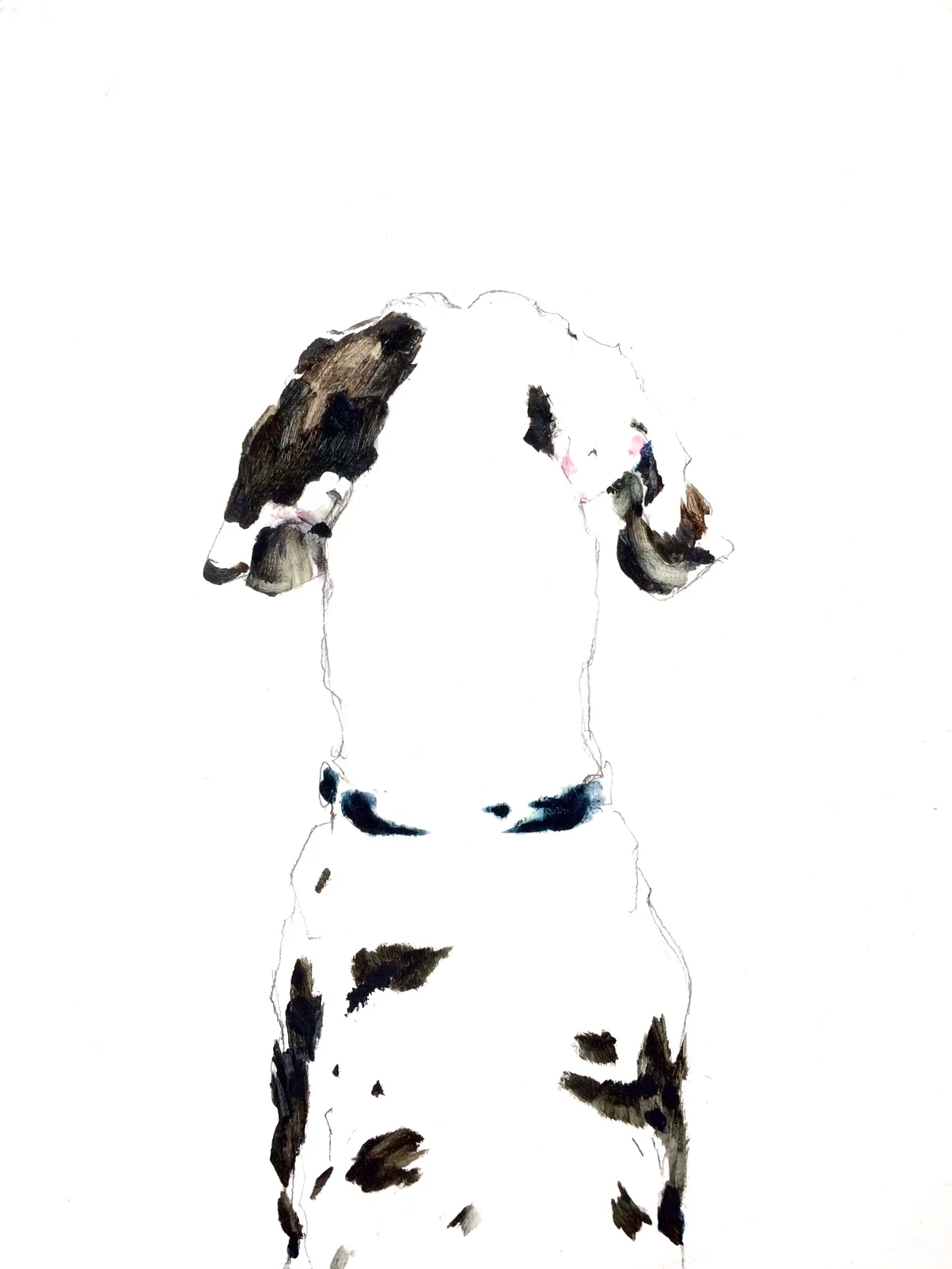 Harlequin Zen