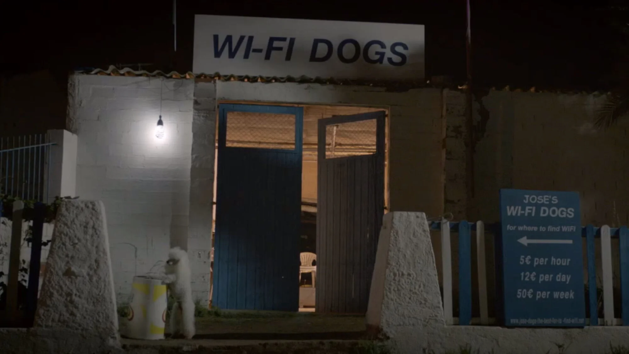 wifidogs.jpg