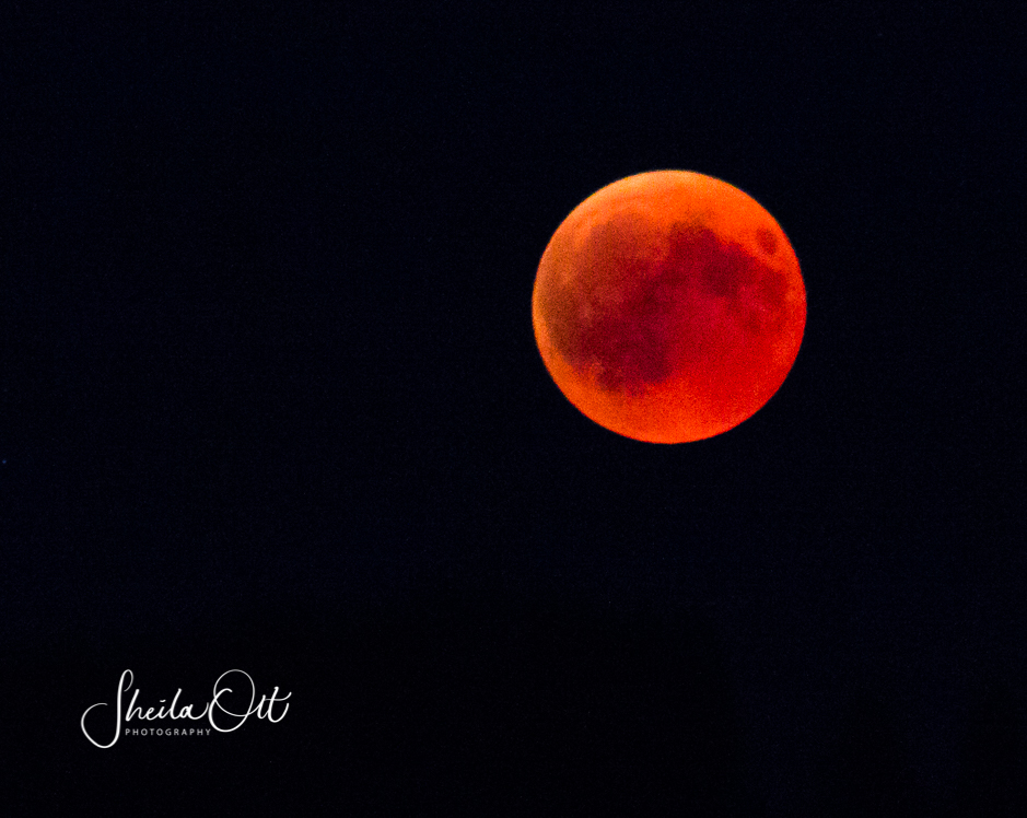 Lunar Eclipse-0066.jpg
