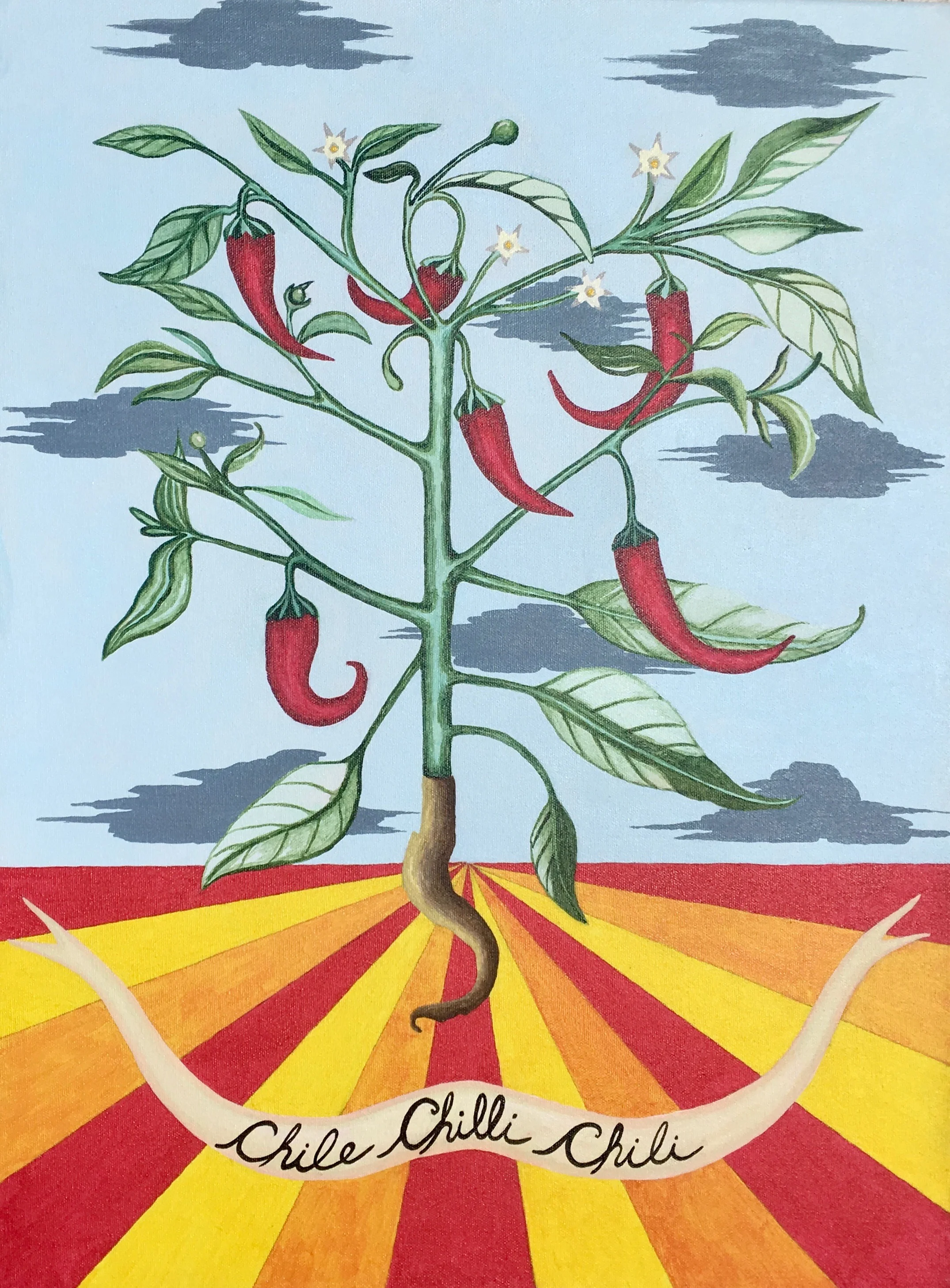 Chile spp.