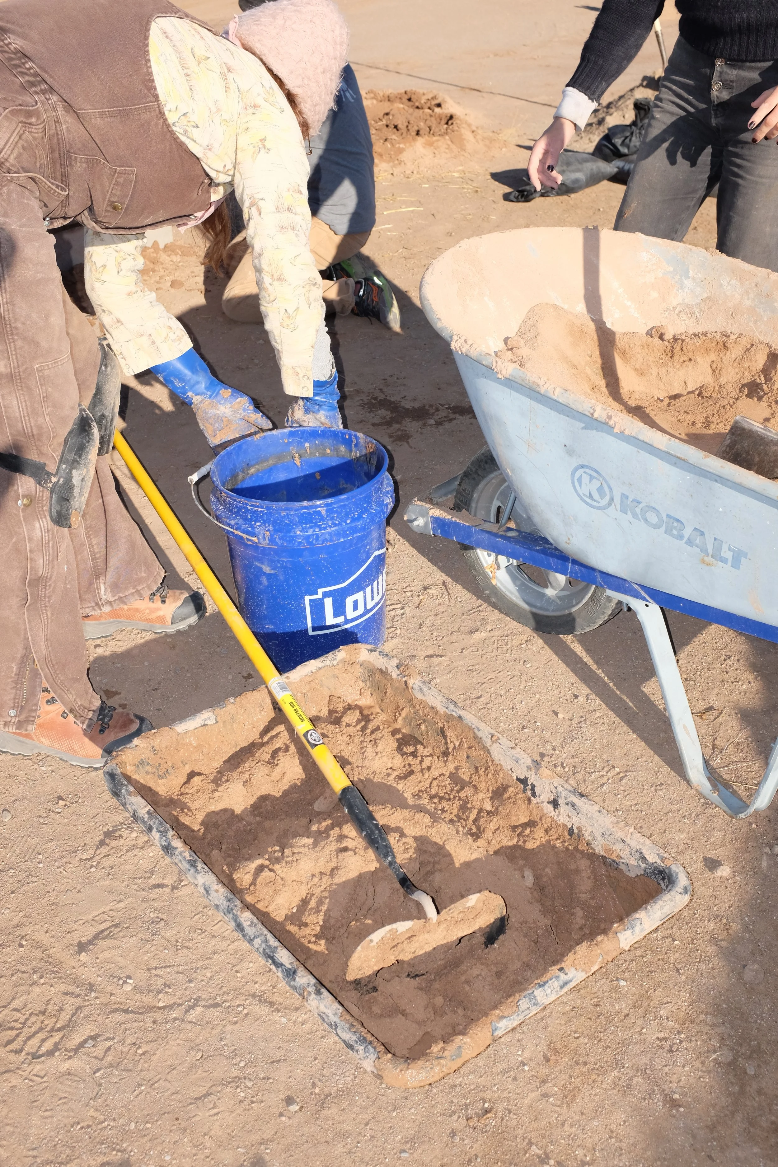 alice moir photo.JPG