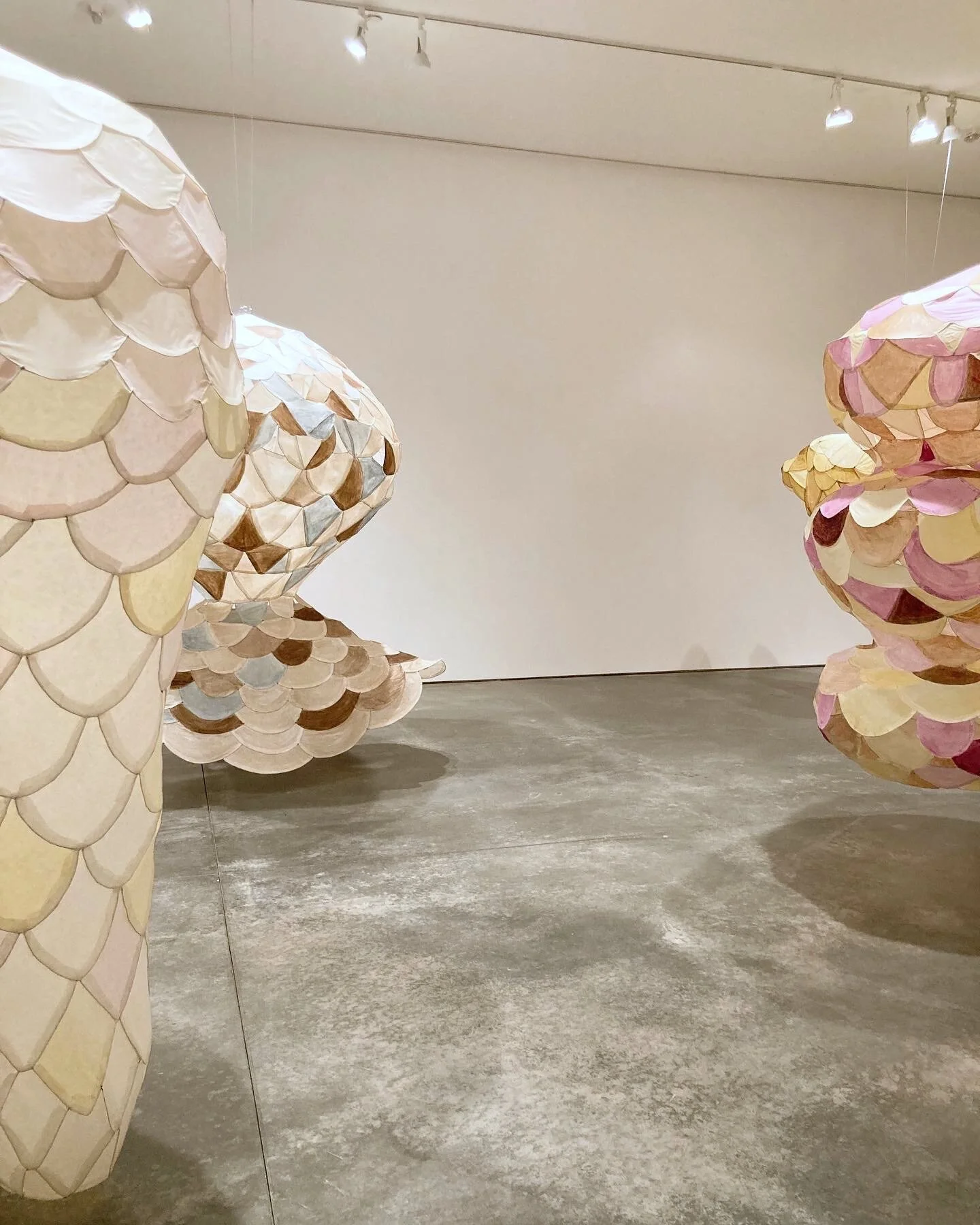 65E182F3-E4E7-484C-BA64-41844ADA52D5 copy.JPG