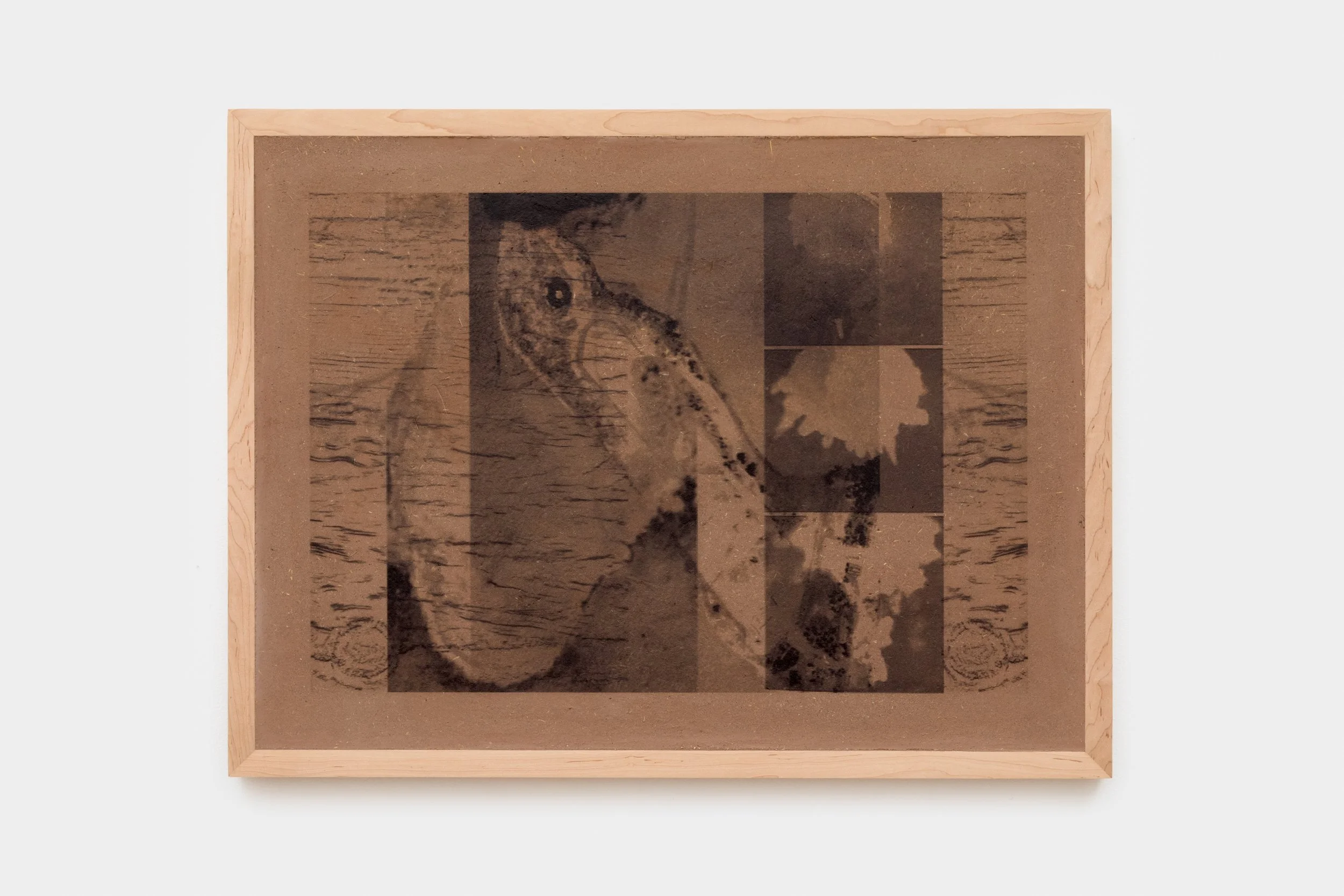  Detroit and White Sands, 30 × 40 in 