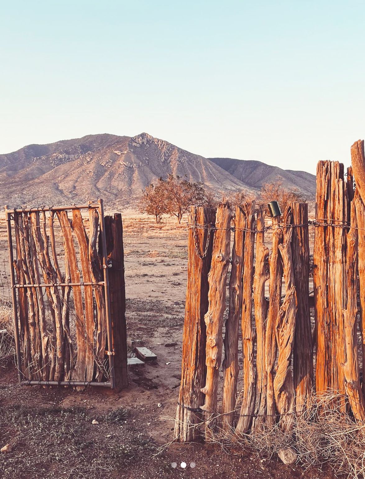 Ranch fence and Carrizo Mtn.png