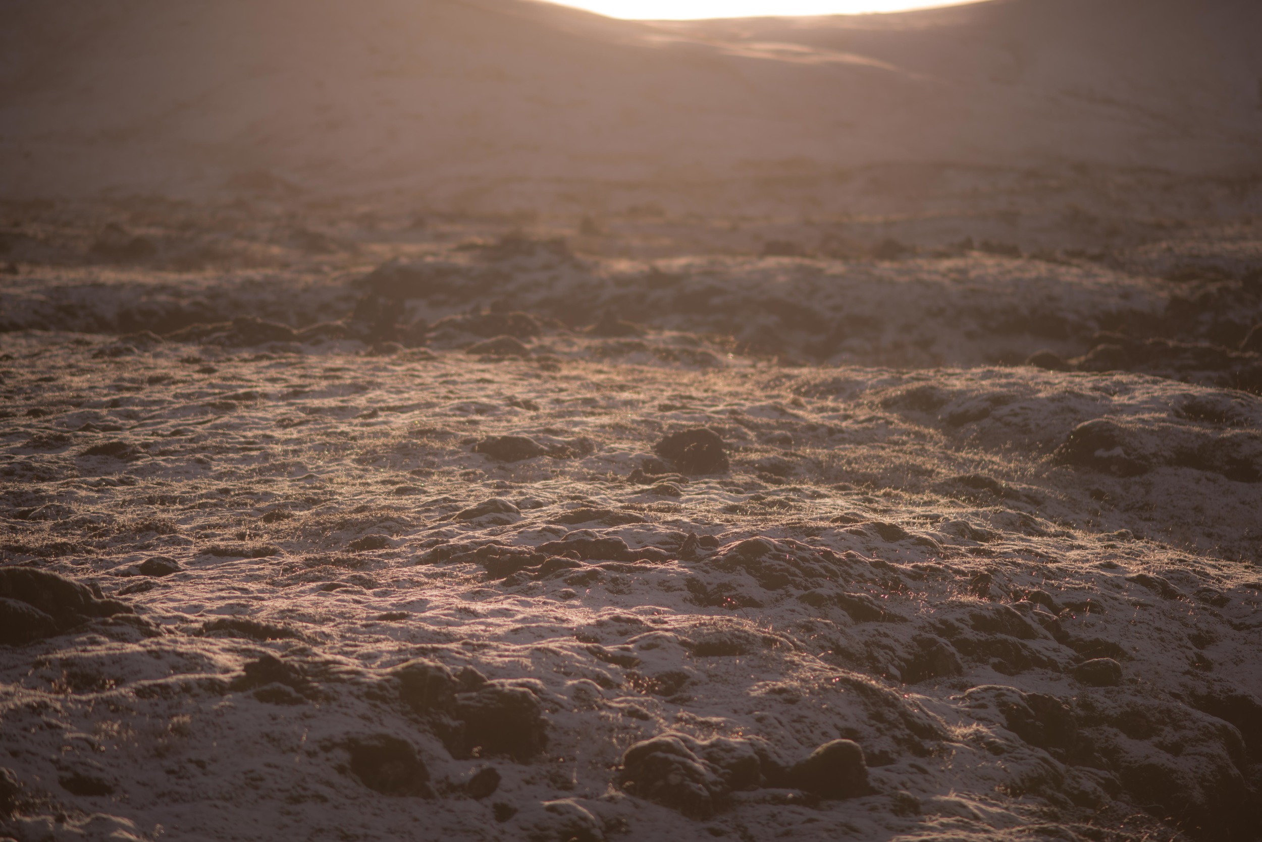 Low sun in Iceland.jpg