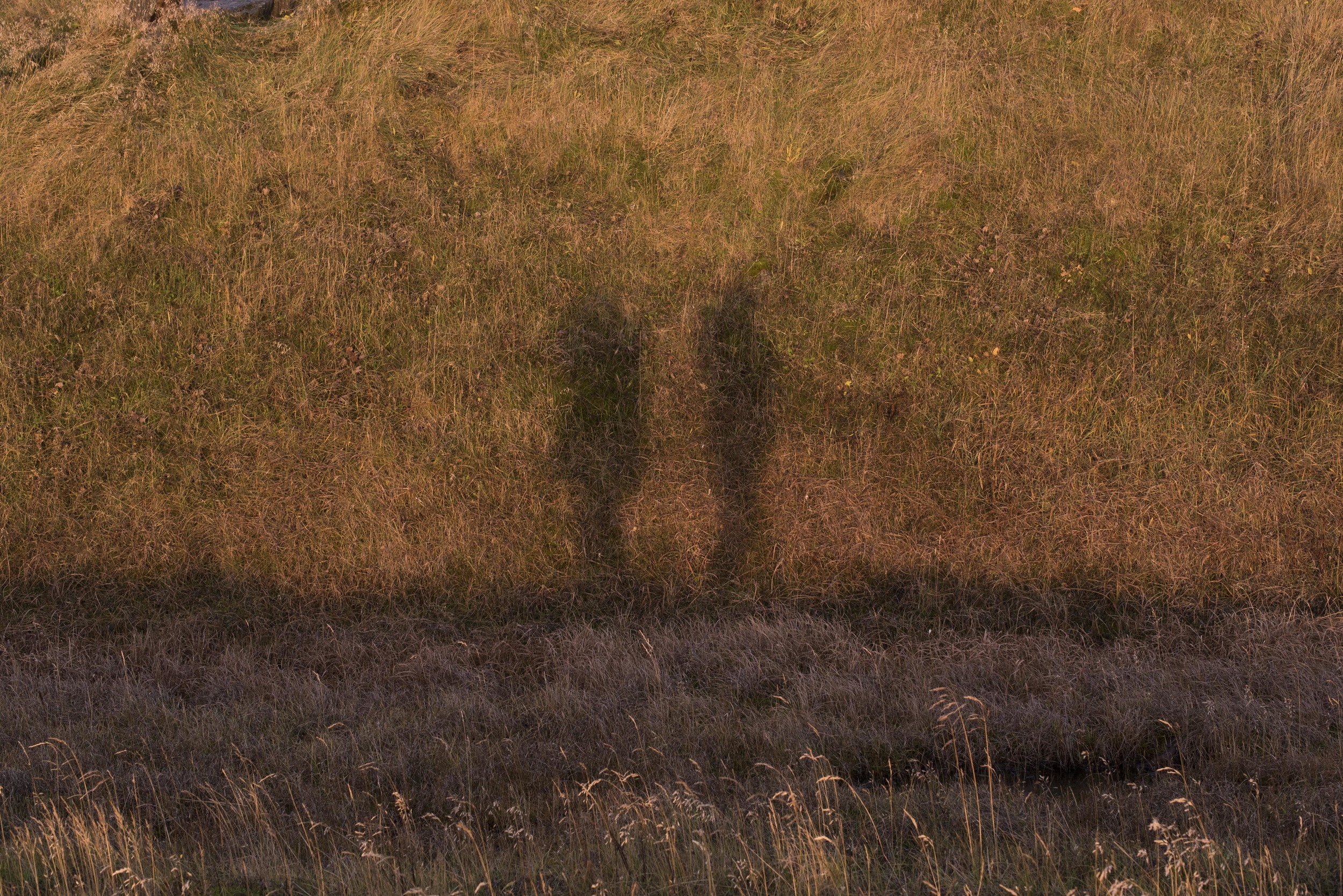 Joe Shutter Iceland Rock Scissors Taper Route One Photo Tour-7.jpg