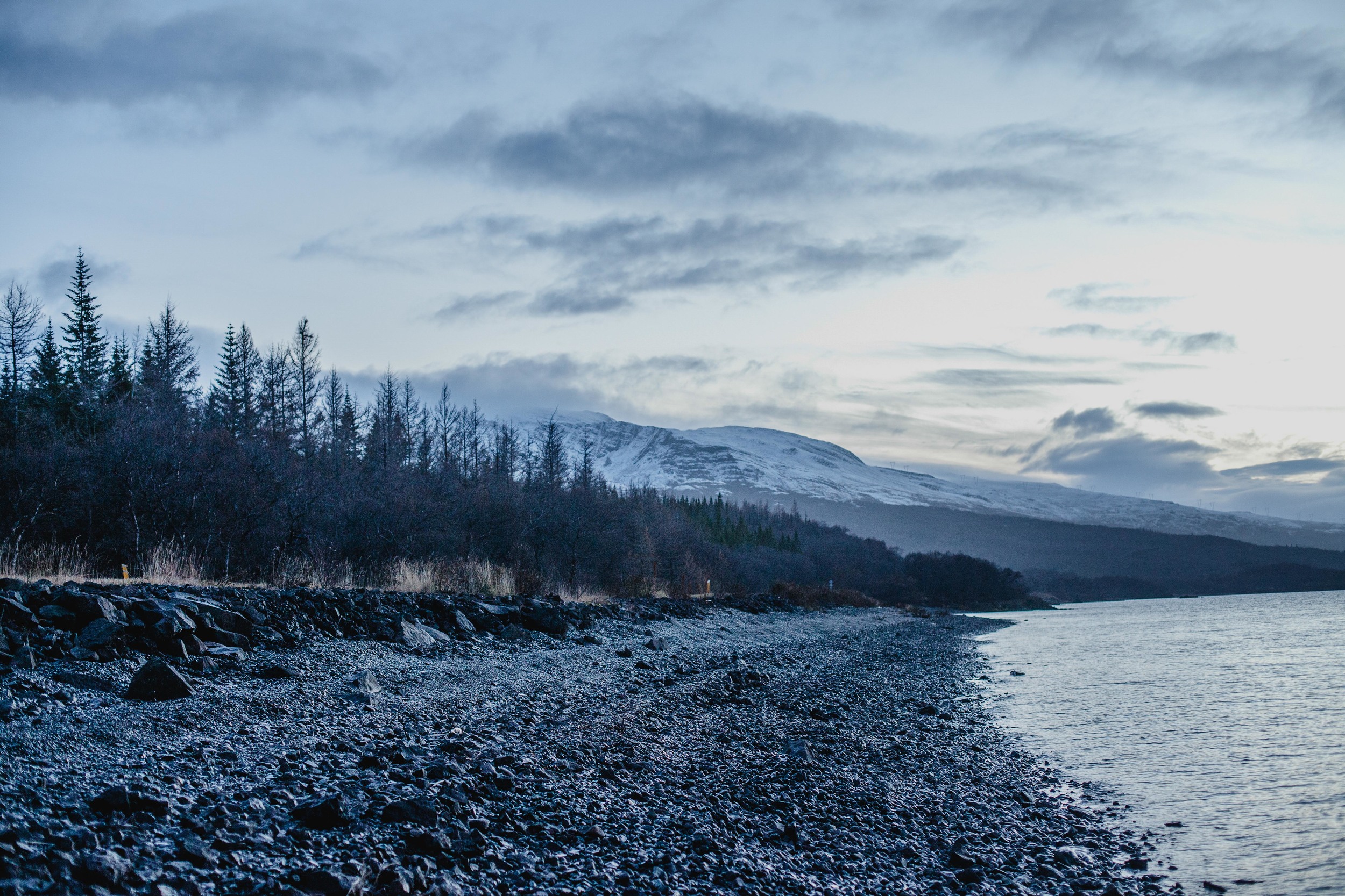 Joe Shutter Photographer Iceland Trees Forest Lake-16 (1).jpg