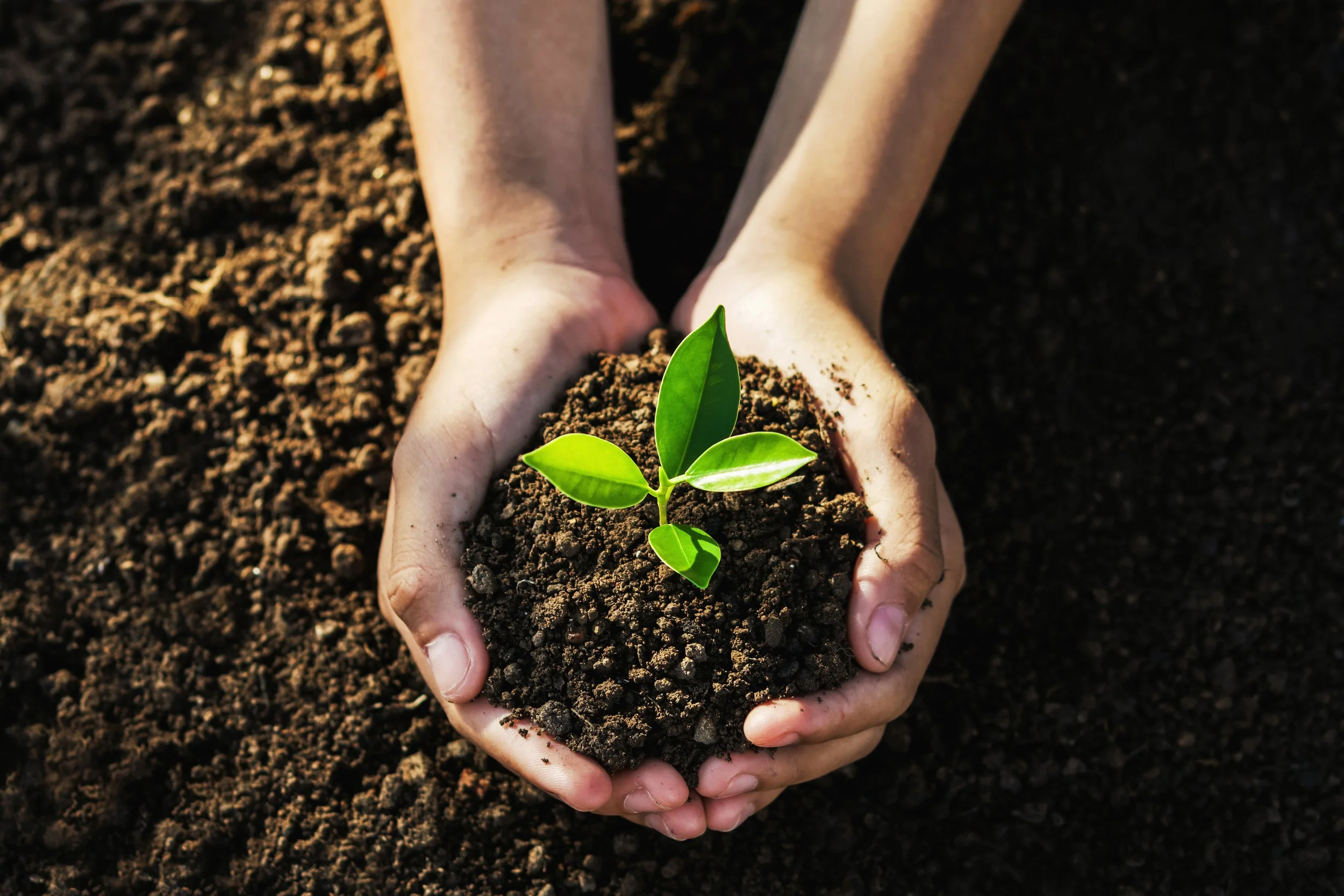 Celebrating Earth Day EVERY Day