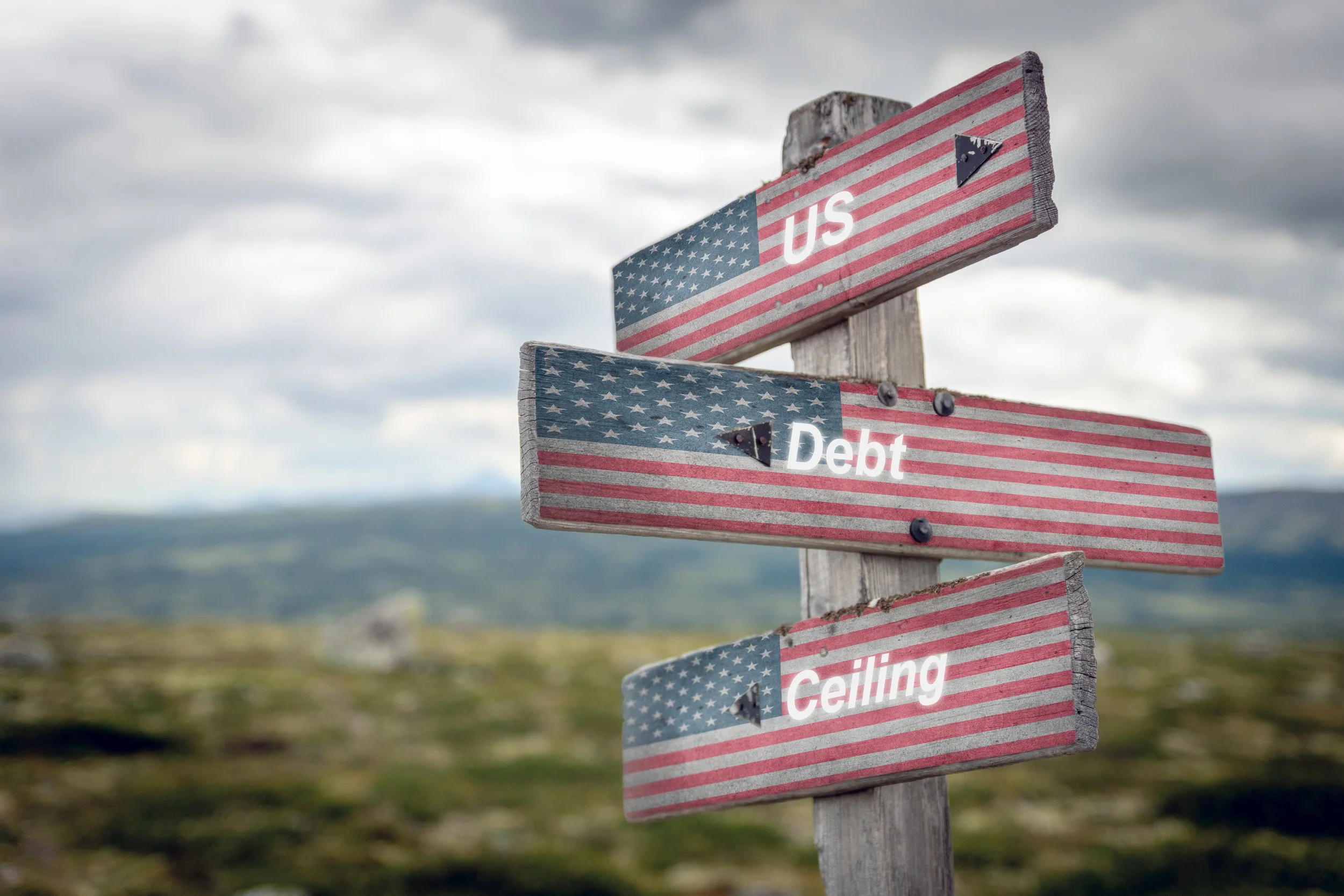 Decoding the Debt Ceiling Crisis