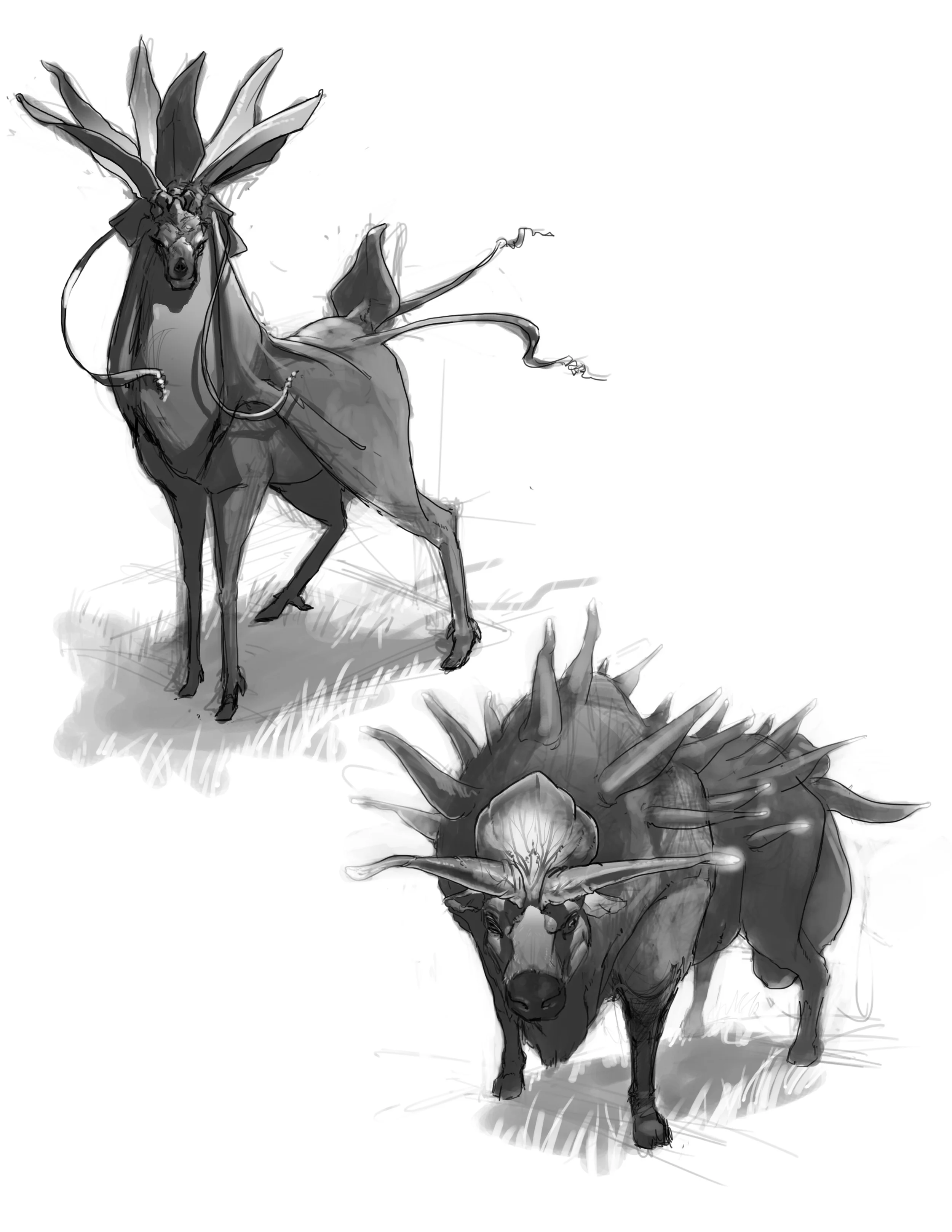 week1_herbivore.jpg