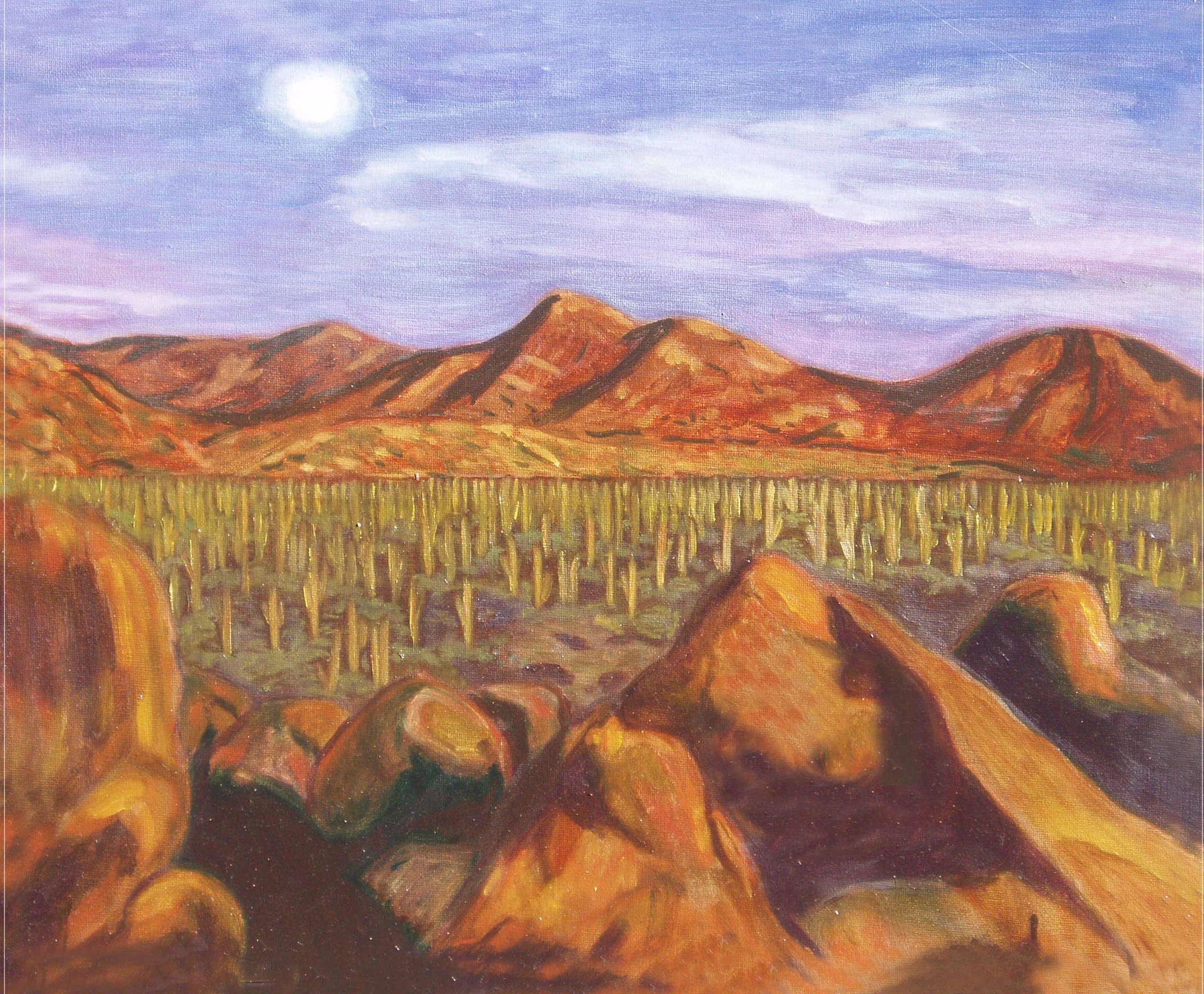 tuscon_desert.jpg