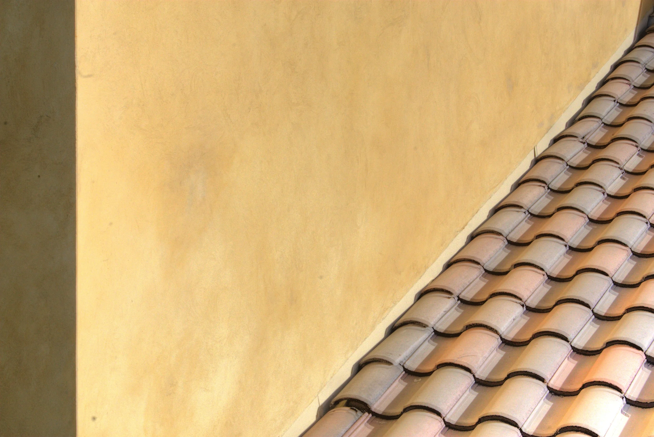 roof2.jpg