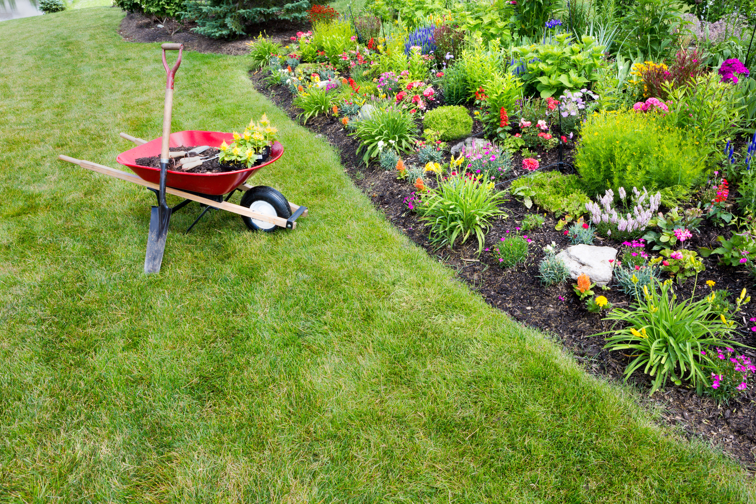   Your Redding Lawn Care Experts    Contact Us  