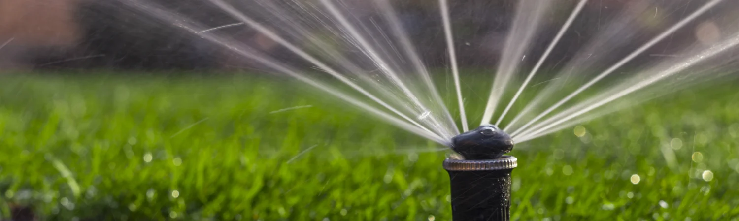 sprinkler spraying waster on the grass