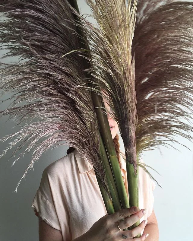 My obsession with pampas grass keeps growing, especially with this color, just a tinge of silvery purple. 
Currently prepping for the dreamiest all white and natural grasses wedding 👟🕊🌾☁️🌬🍚