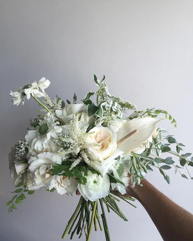 One more, because I can't help but think of sno&bull;balls when I see this, on this 104 heat index day. HAPPY MONDAY