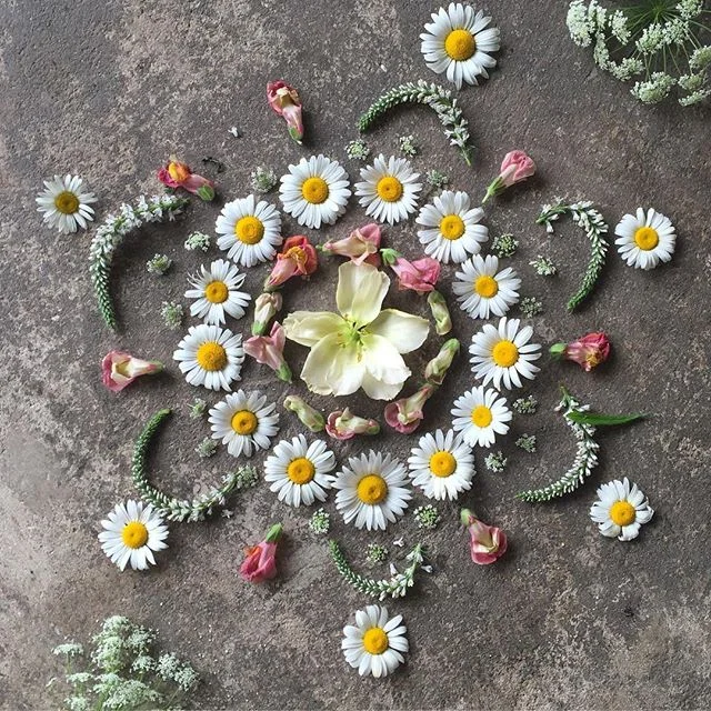 Digging up some inspiration for a killer dream project with @urbancowboybnb