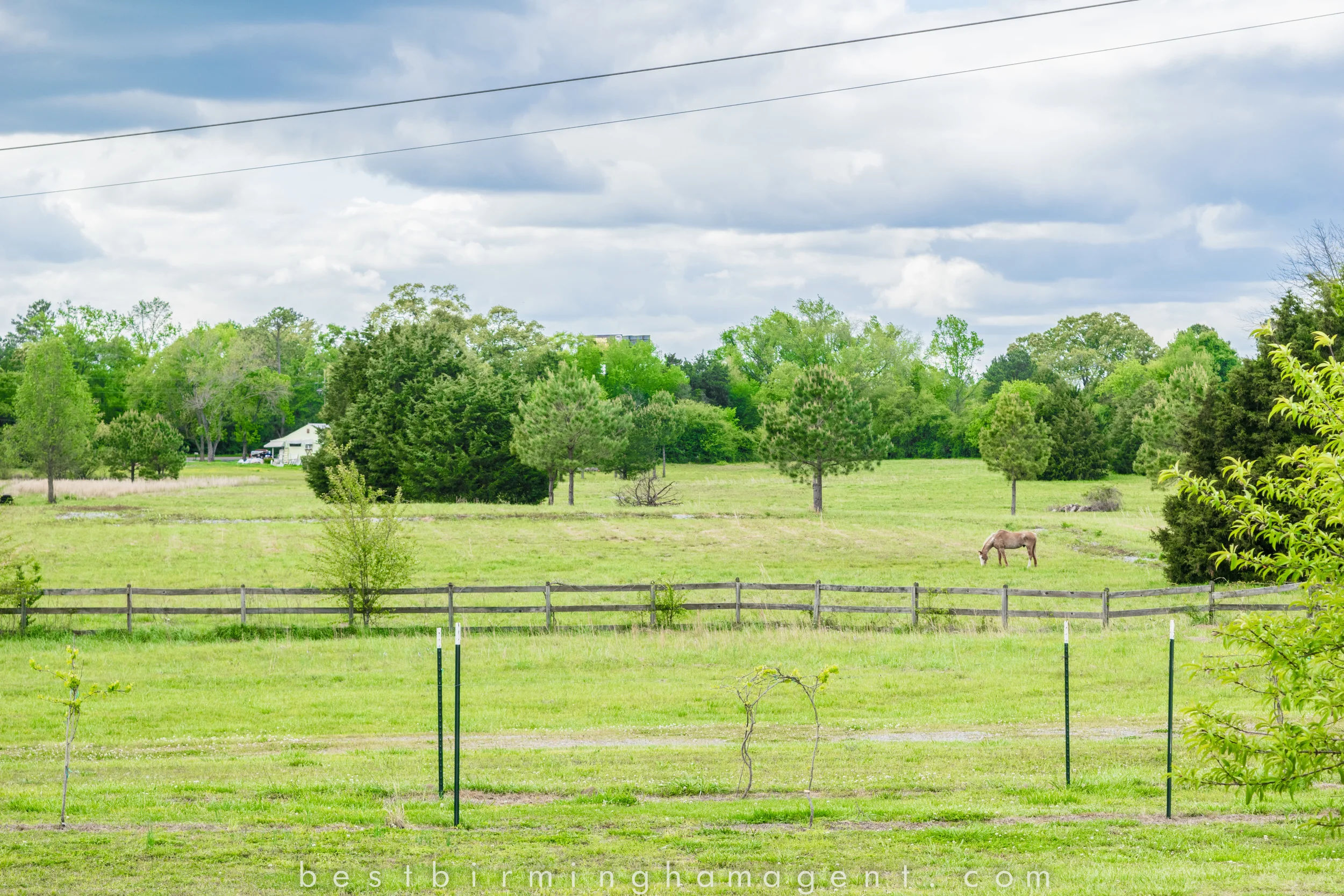 4 Weekends In Calera, Alabama