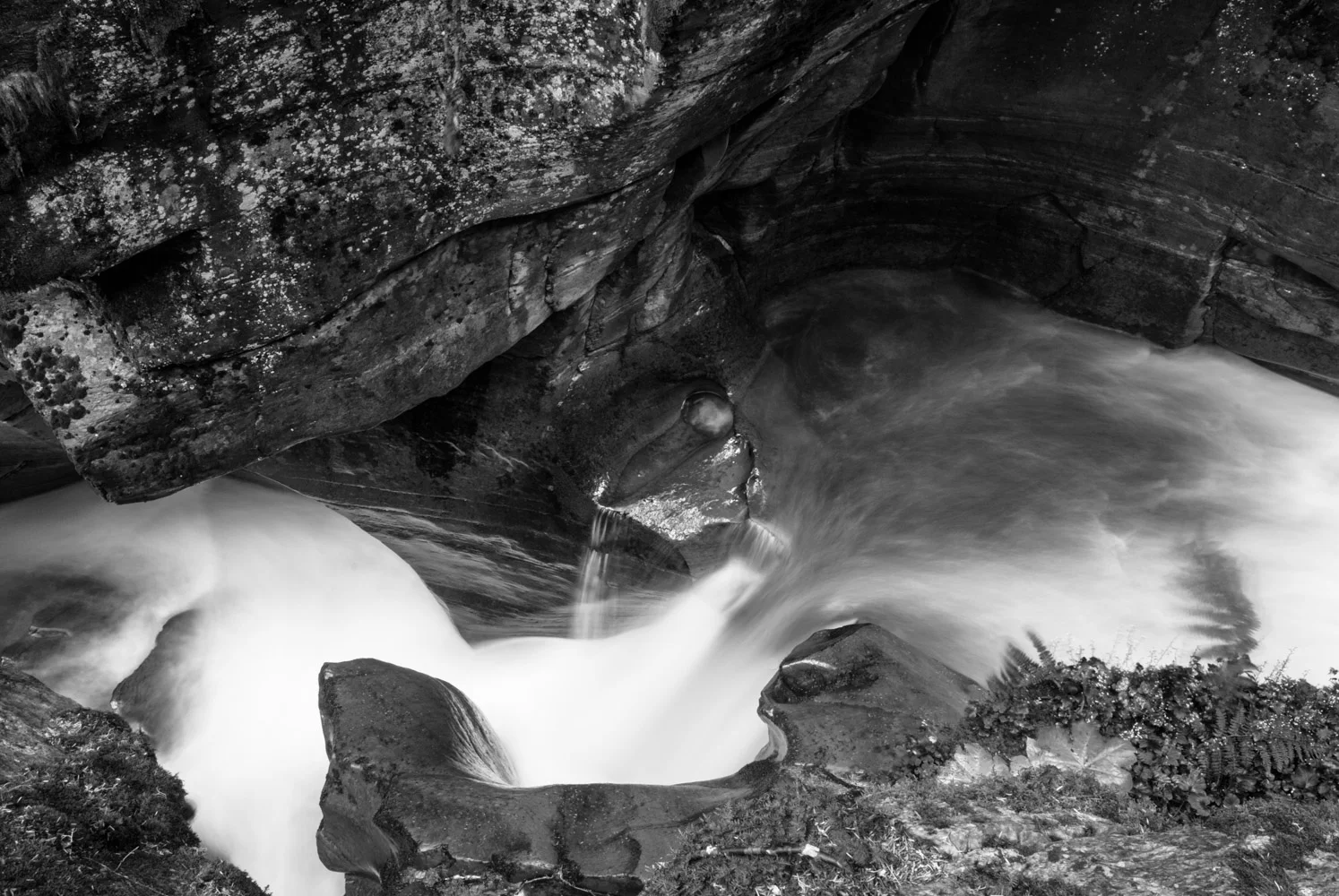 DSC_0006.jpg