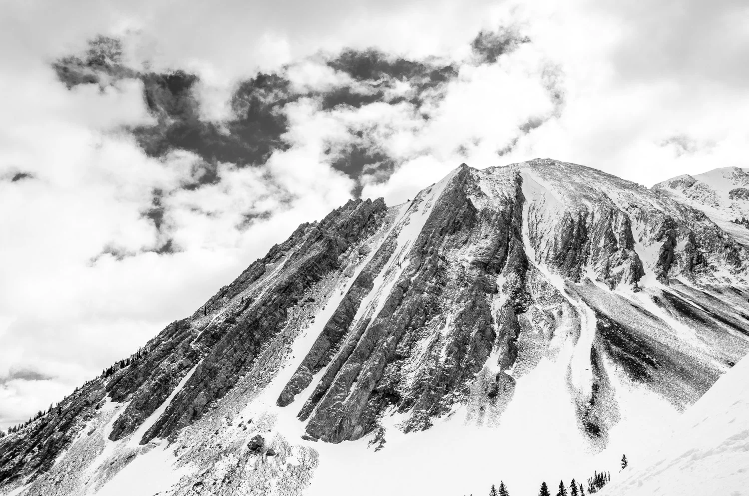 DSC_1786.jpg