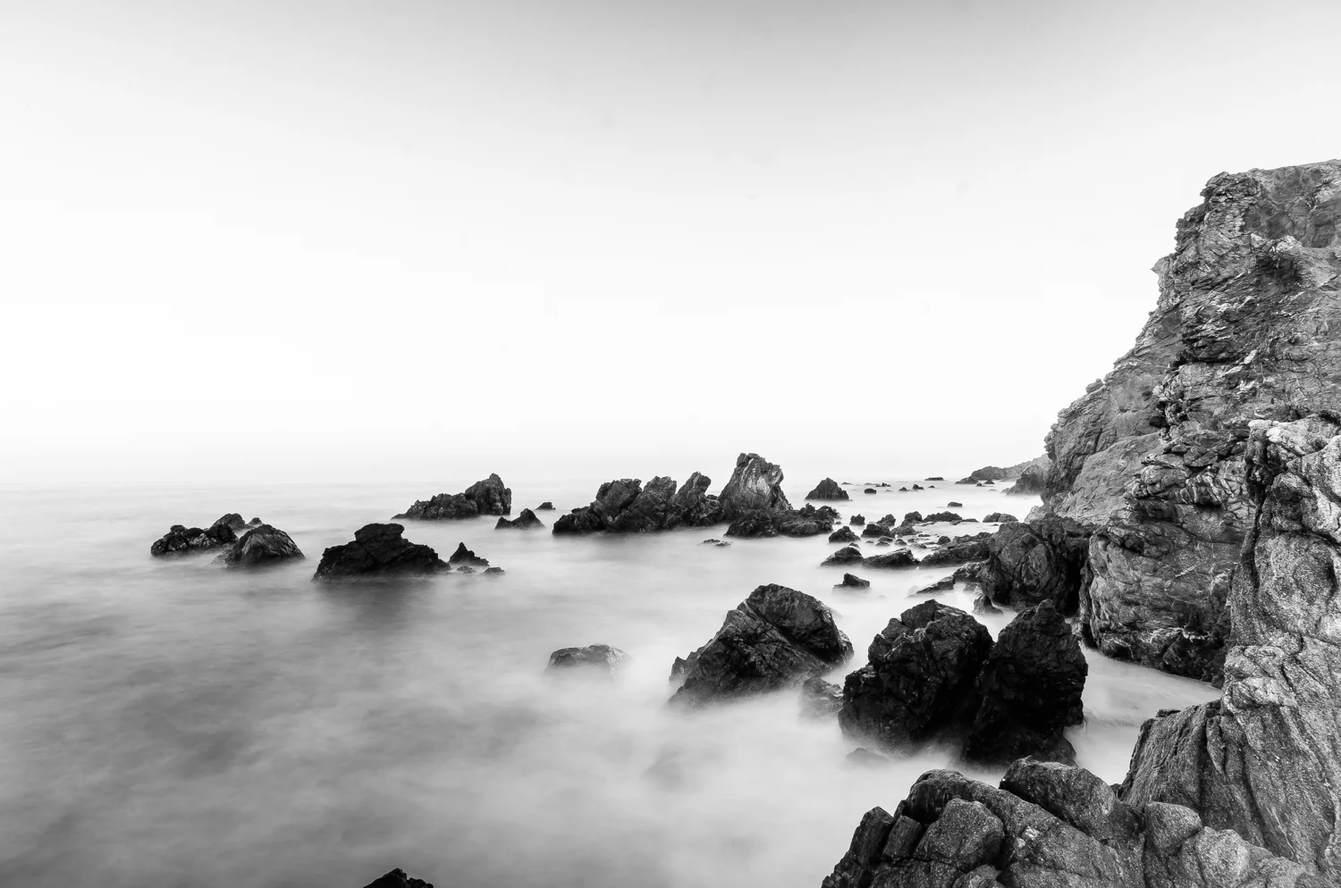 DSC_7904.jpg