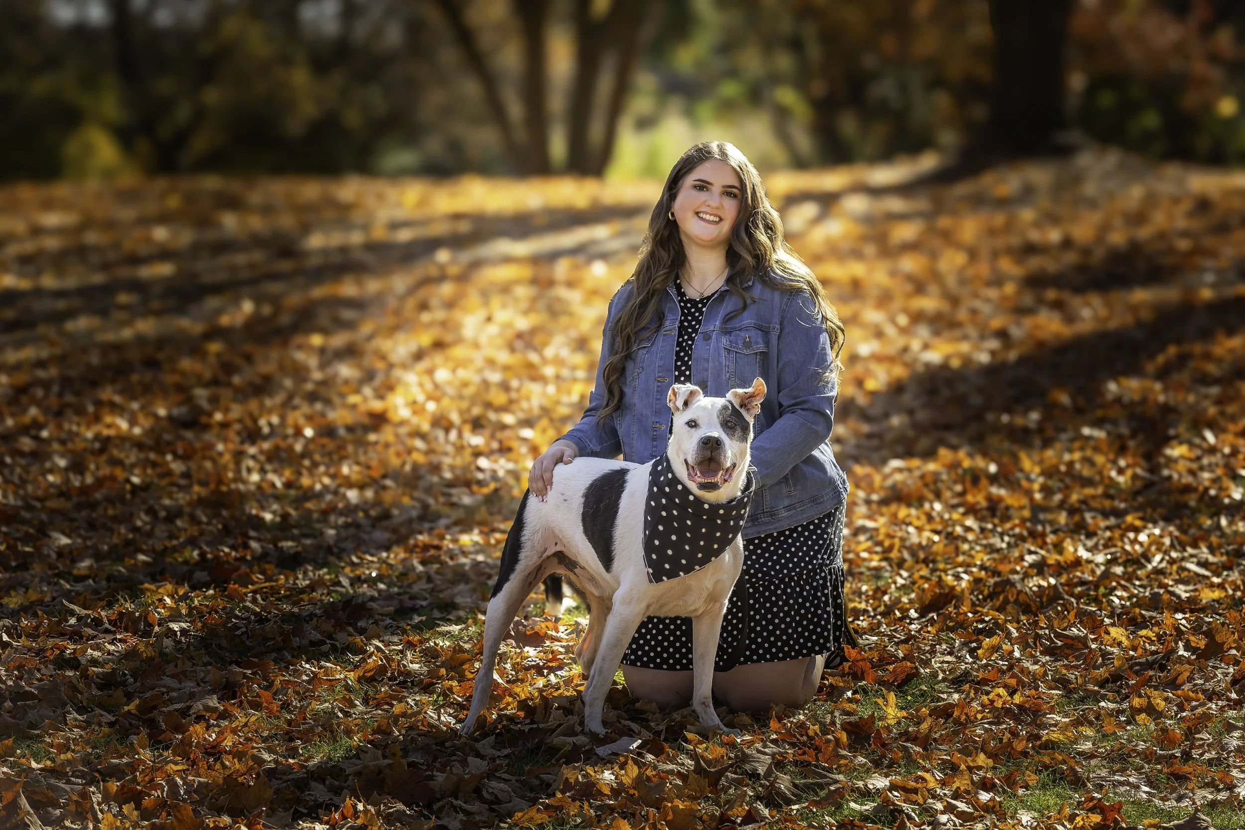  Ypsilanti and Ann Arbor Head shot, portrait, senior, family, children, real estate and pet photographer  