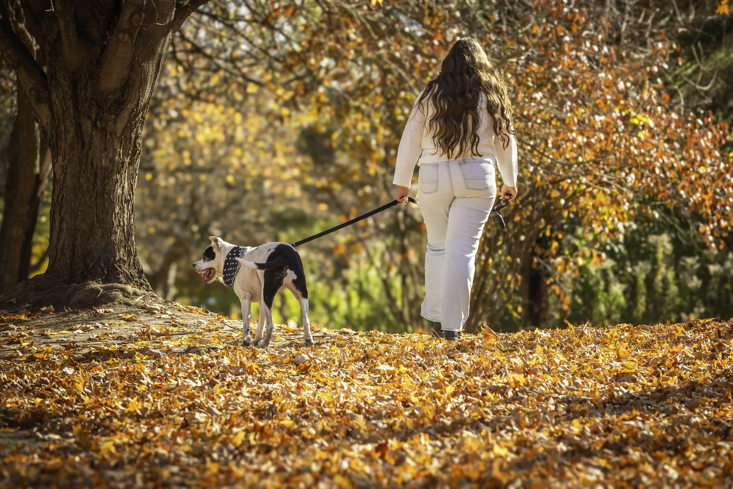  Ypsilanti and Ann Arbor Head shot, portrait, senior, family, children, real estate and pet photographer  
