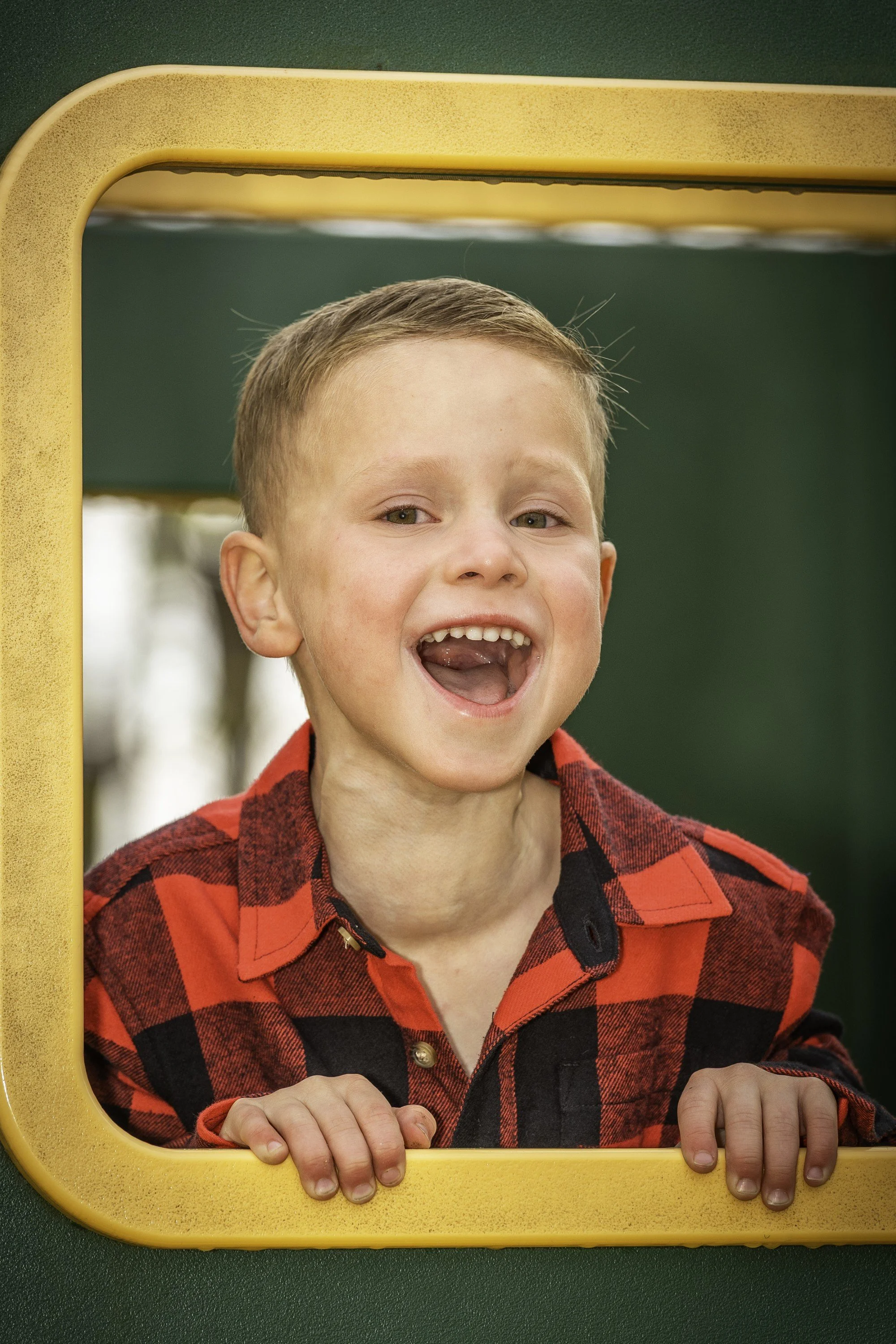  Ypsilanti and Ann Arbor Head shot, portrait, senior, family, children, real estate and pet photographer  