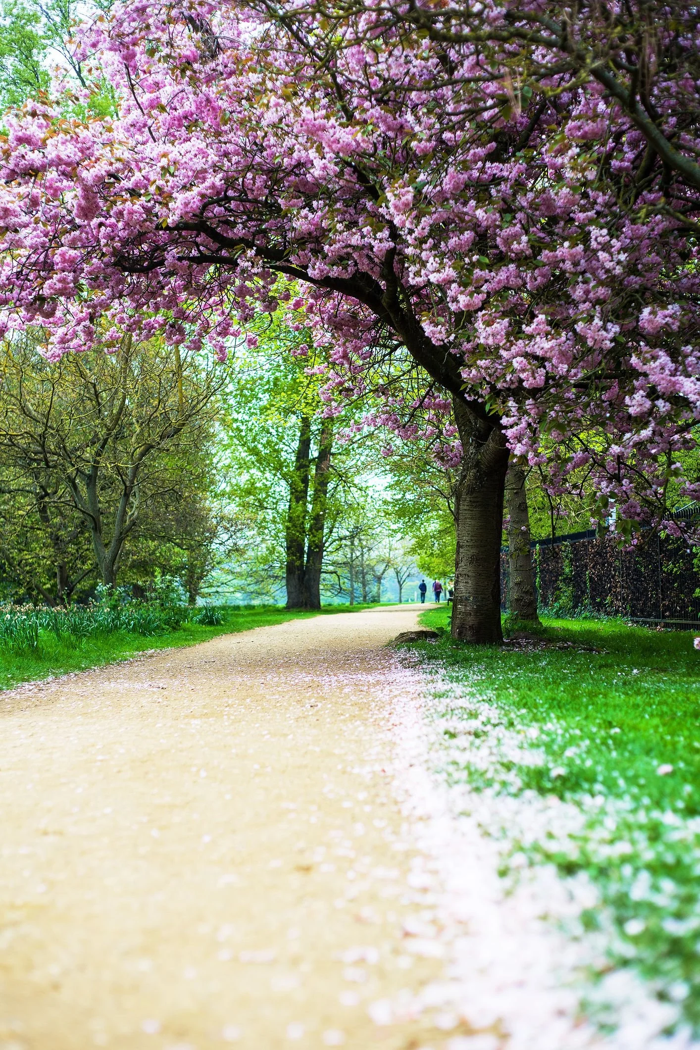 Spring Choral and Handbell Concert