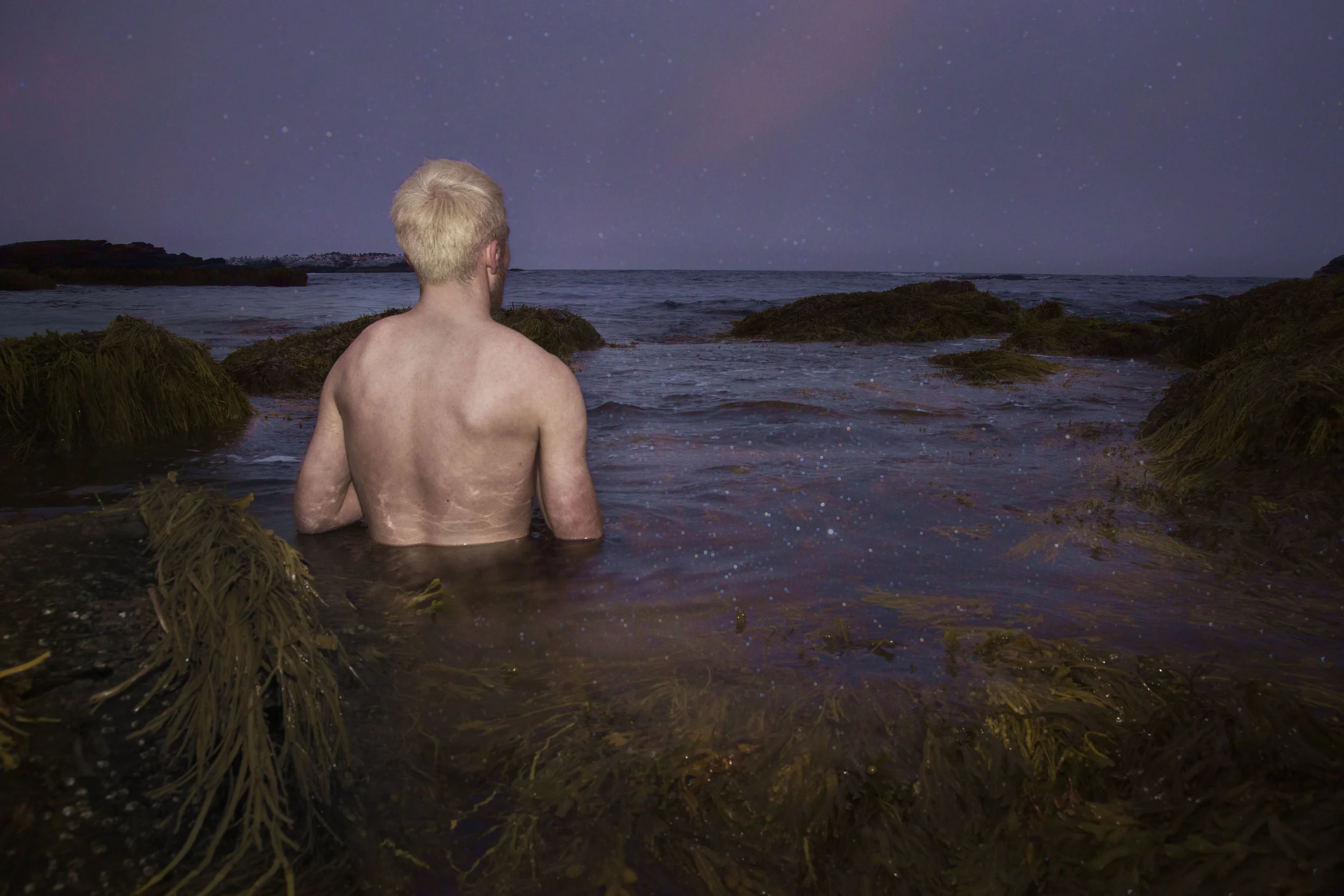 Dreamer